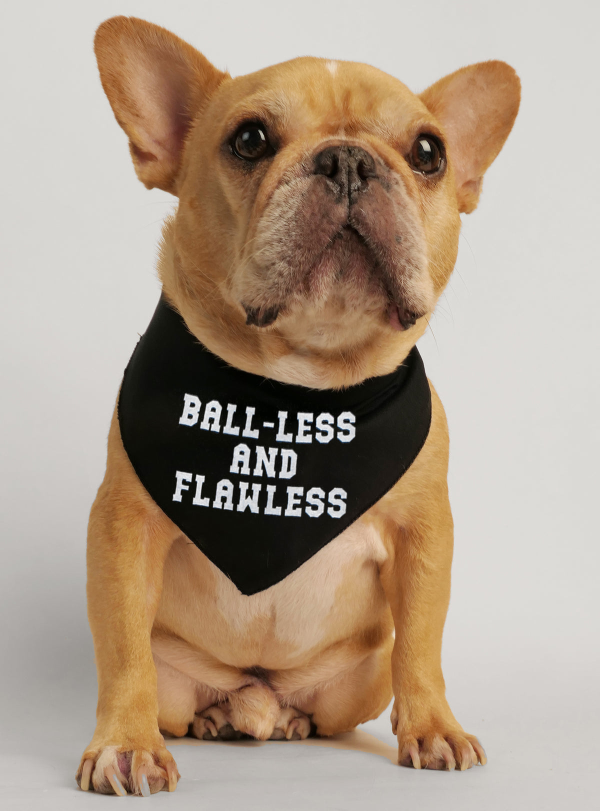 Ball-less And Flawless Bandana
