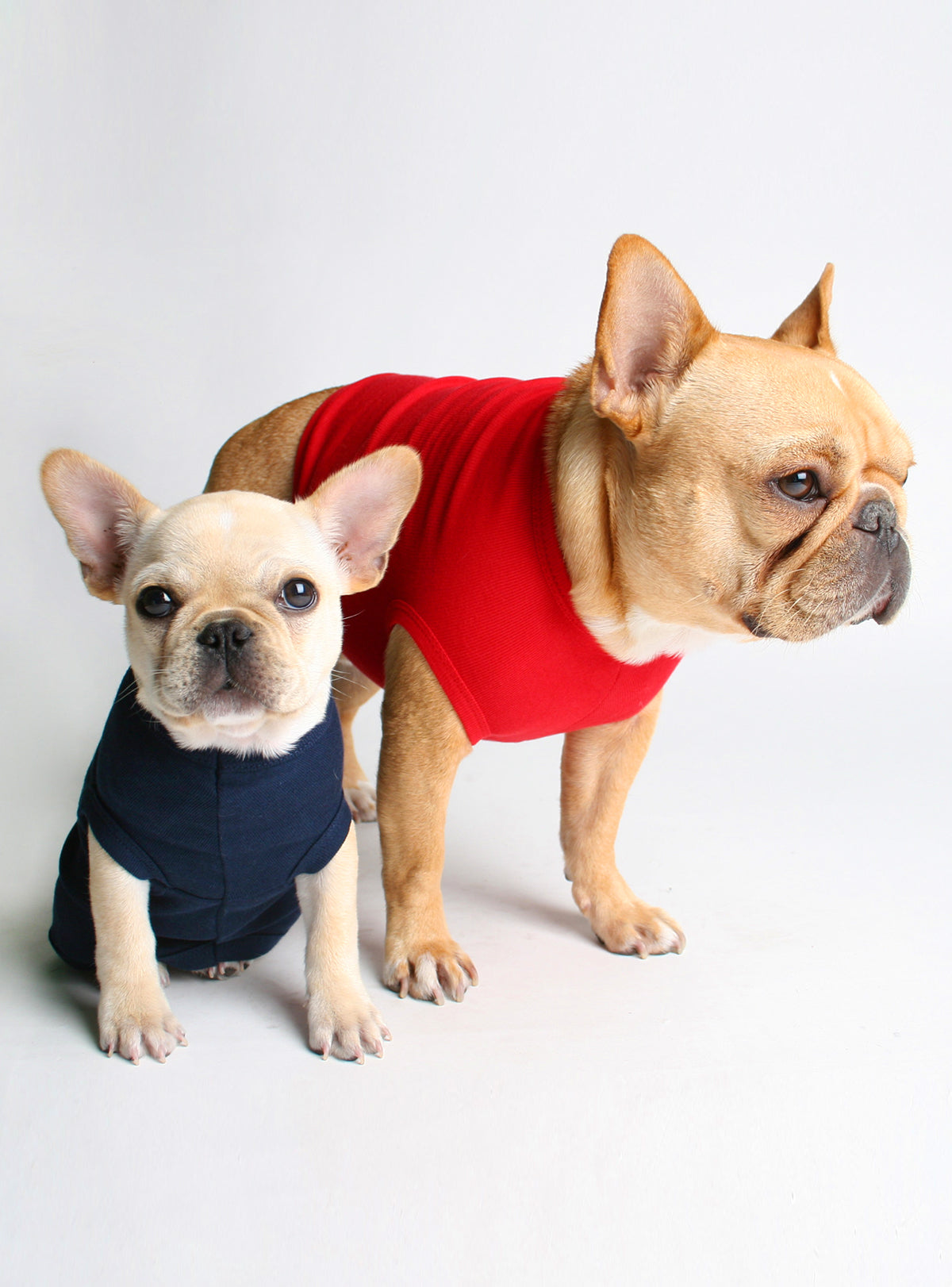 Members Only Dog Tank
