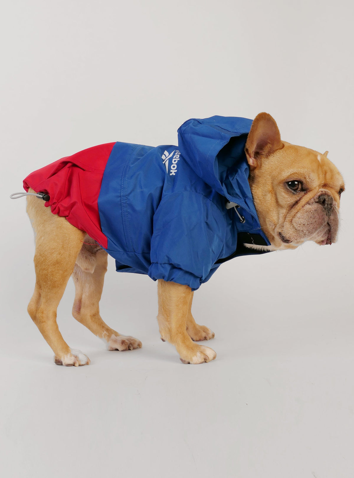 The Rainy Day Reebok Dog Jacket