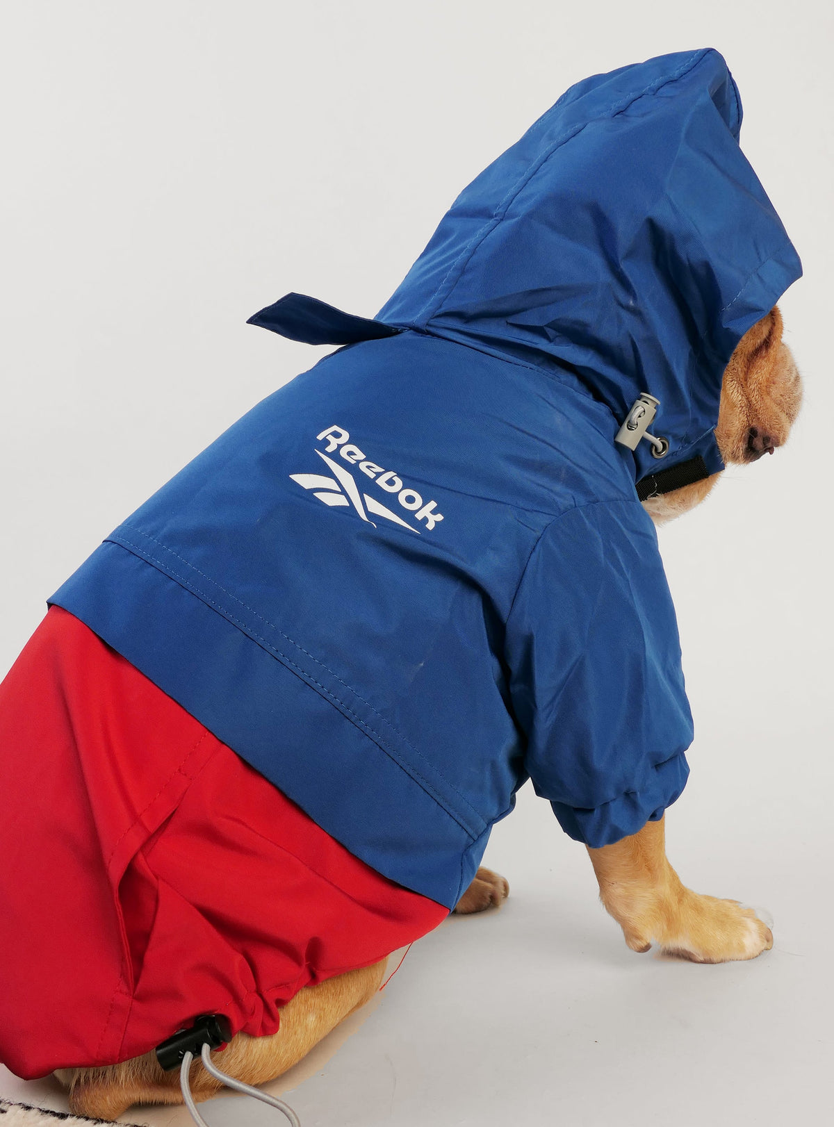 The Rainy Day Reebok Dog Jacket
