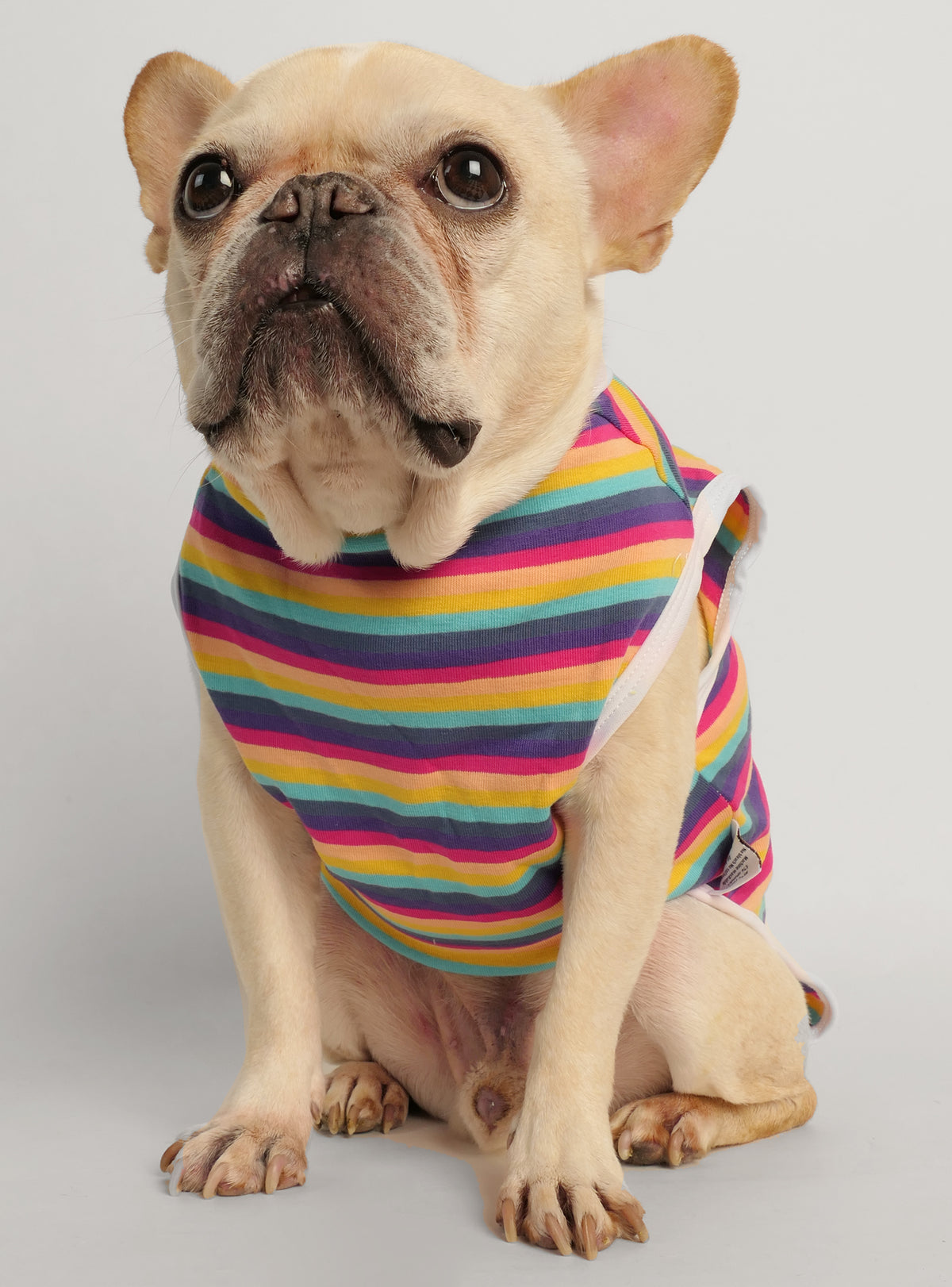 The Tommy Striped Dog Tee