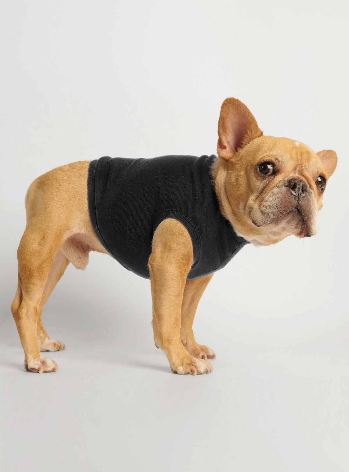 Members Only Dog Tank