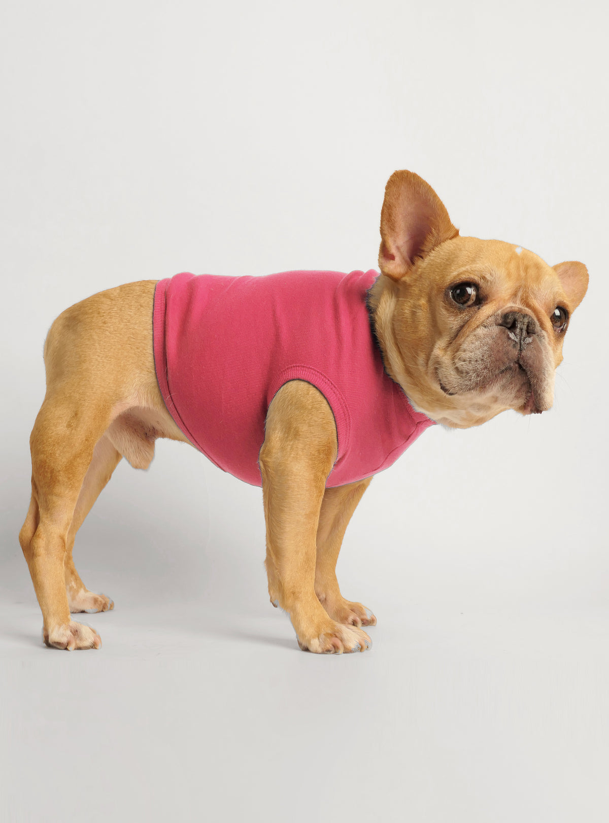 Members Only Dog Tank