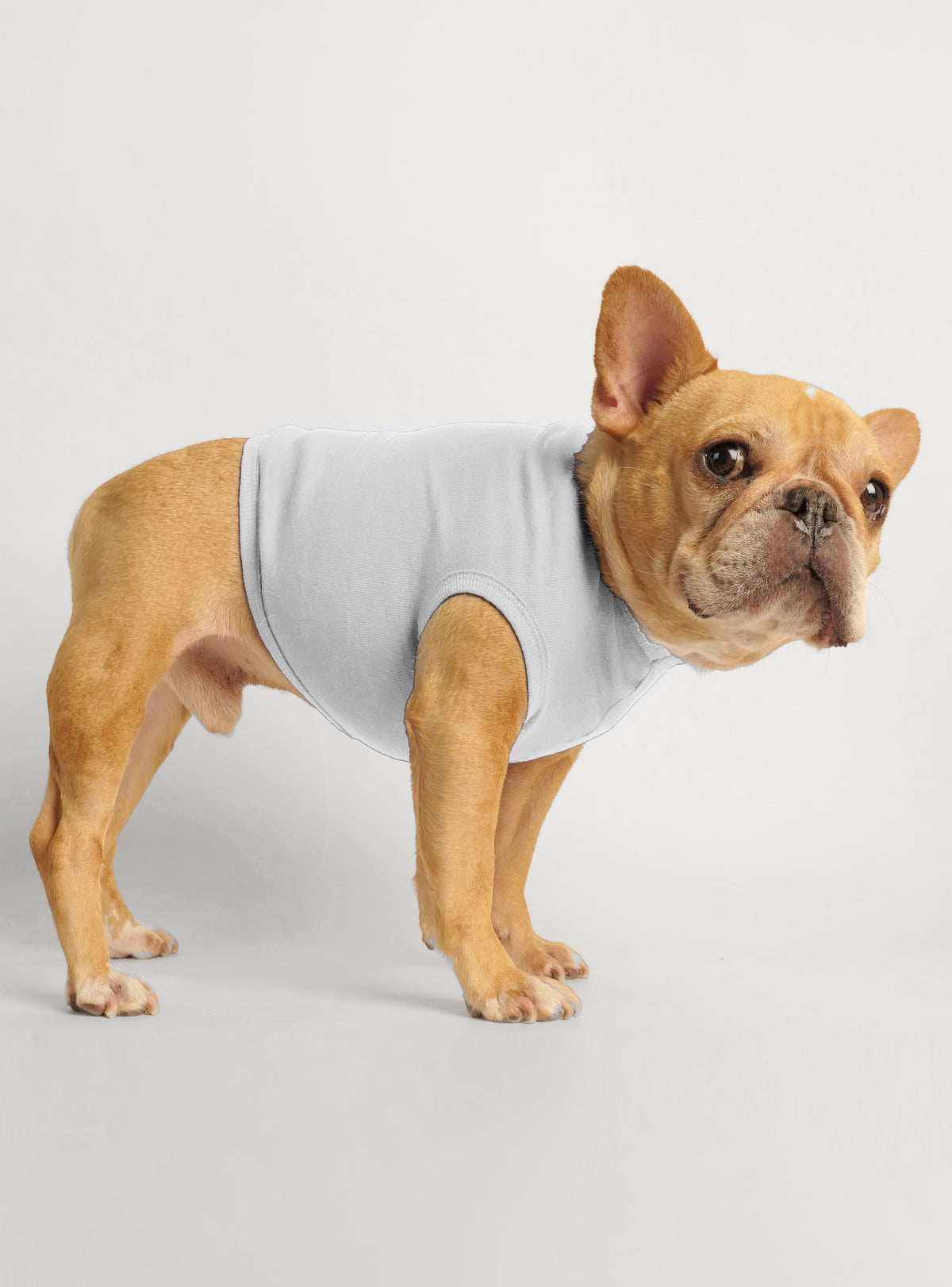 Members Only Dog Tank