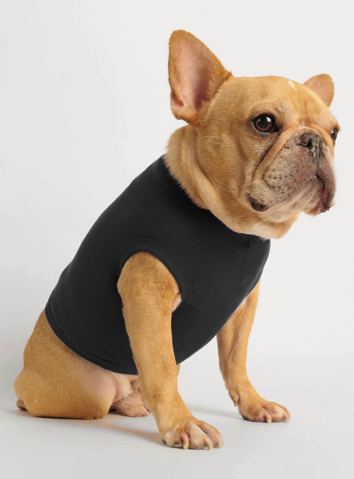 Members Only Dog Tank