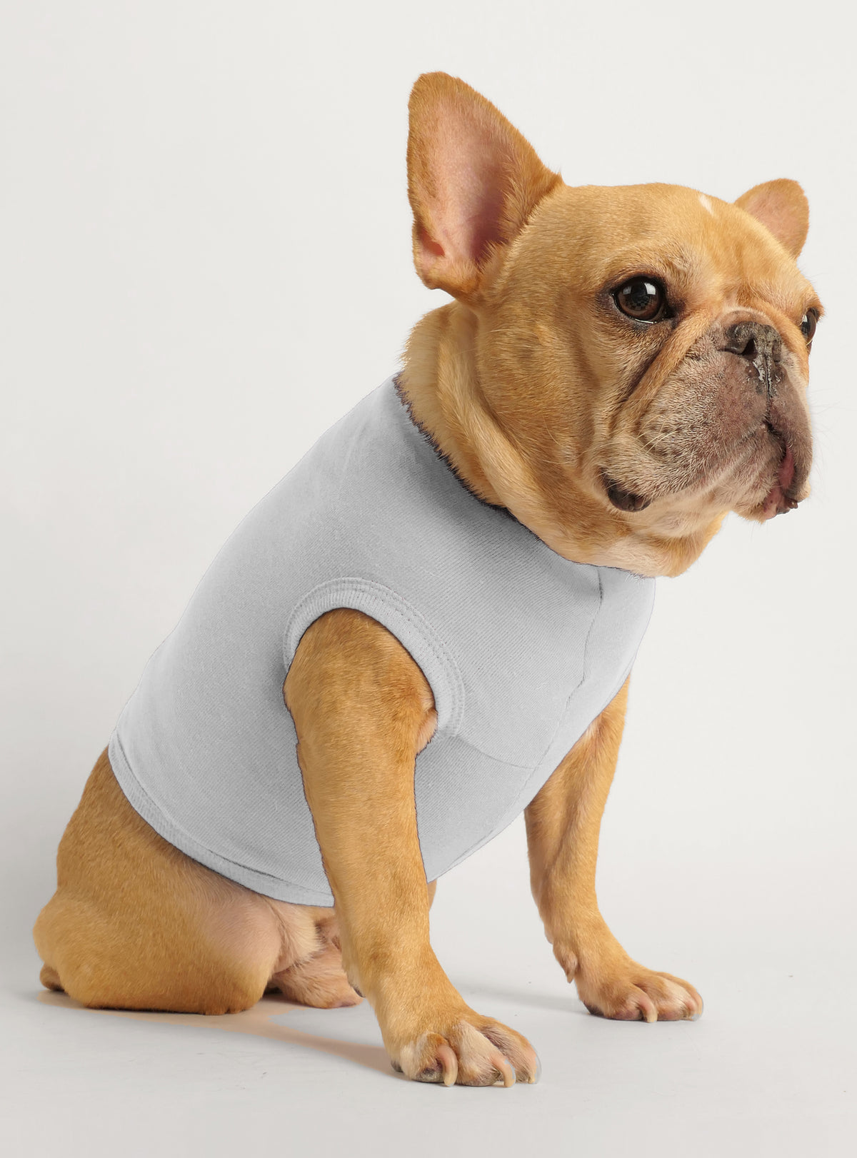 Members Only Dog Tank