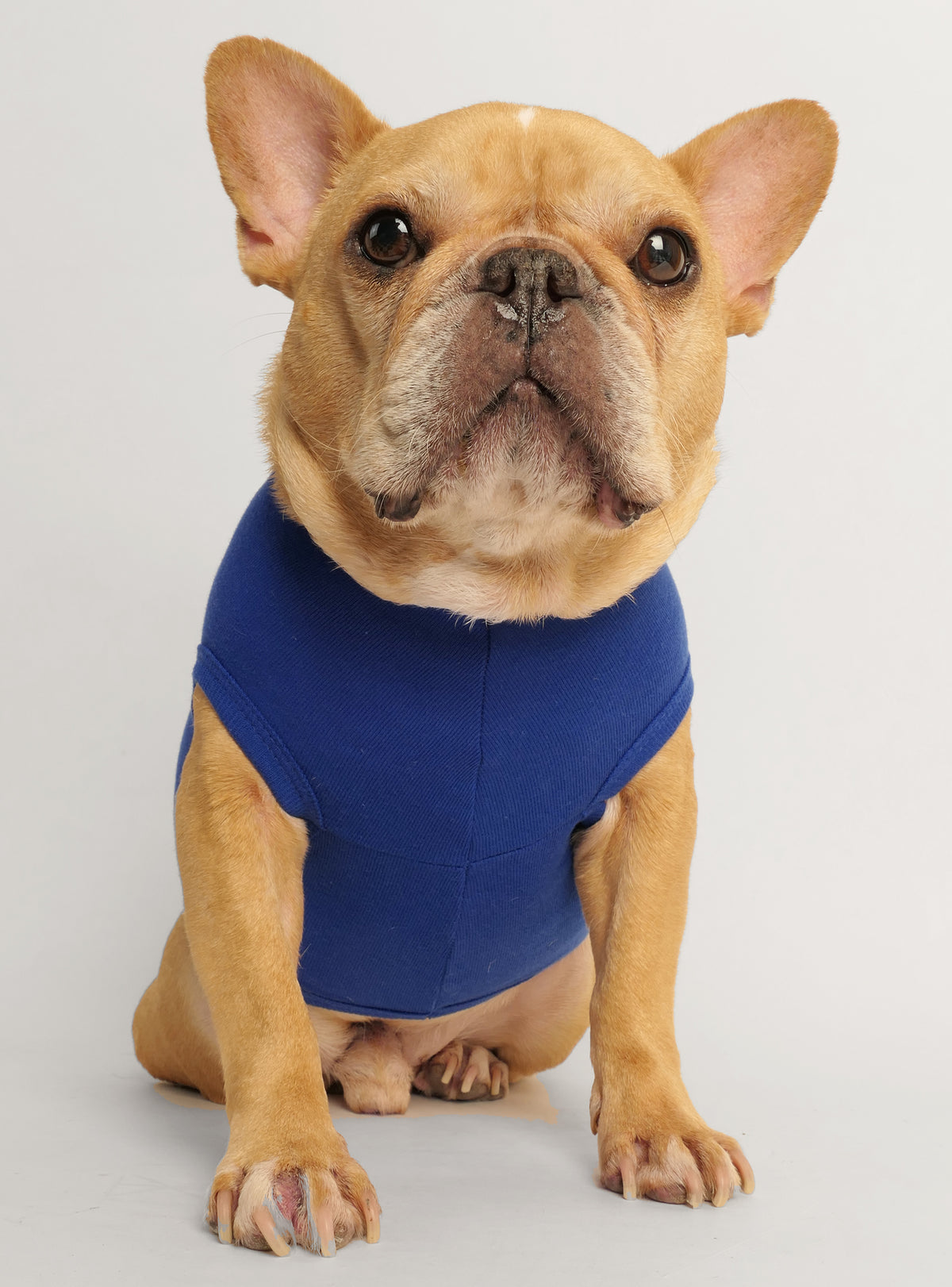 Members Only Dog Tank