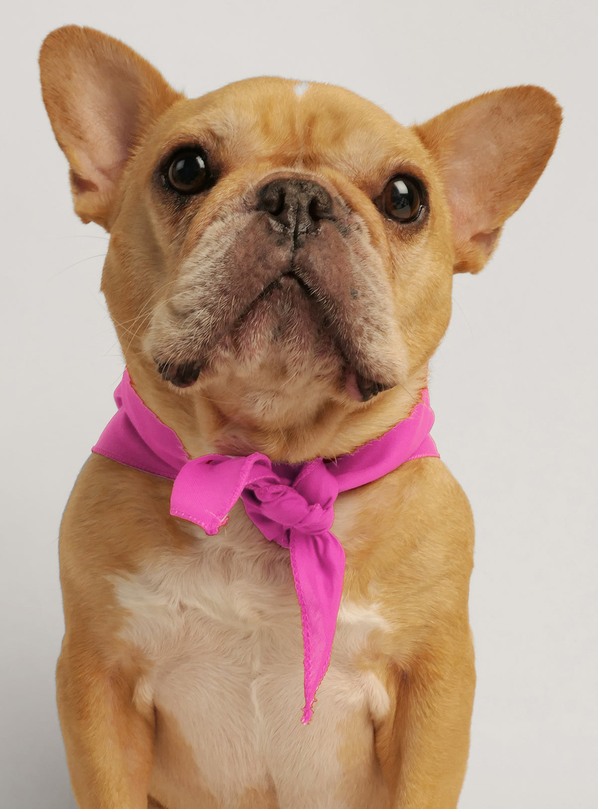 Little Miss Pees Inside Bandana