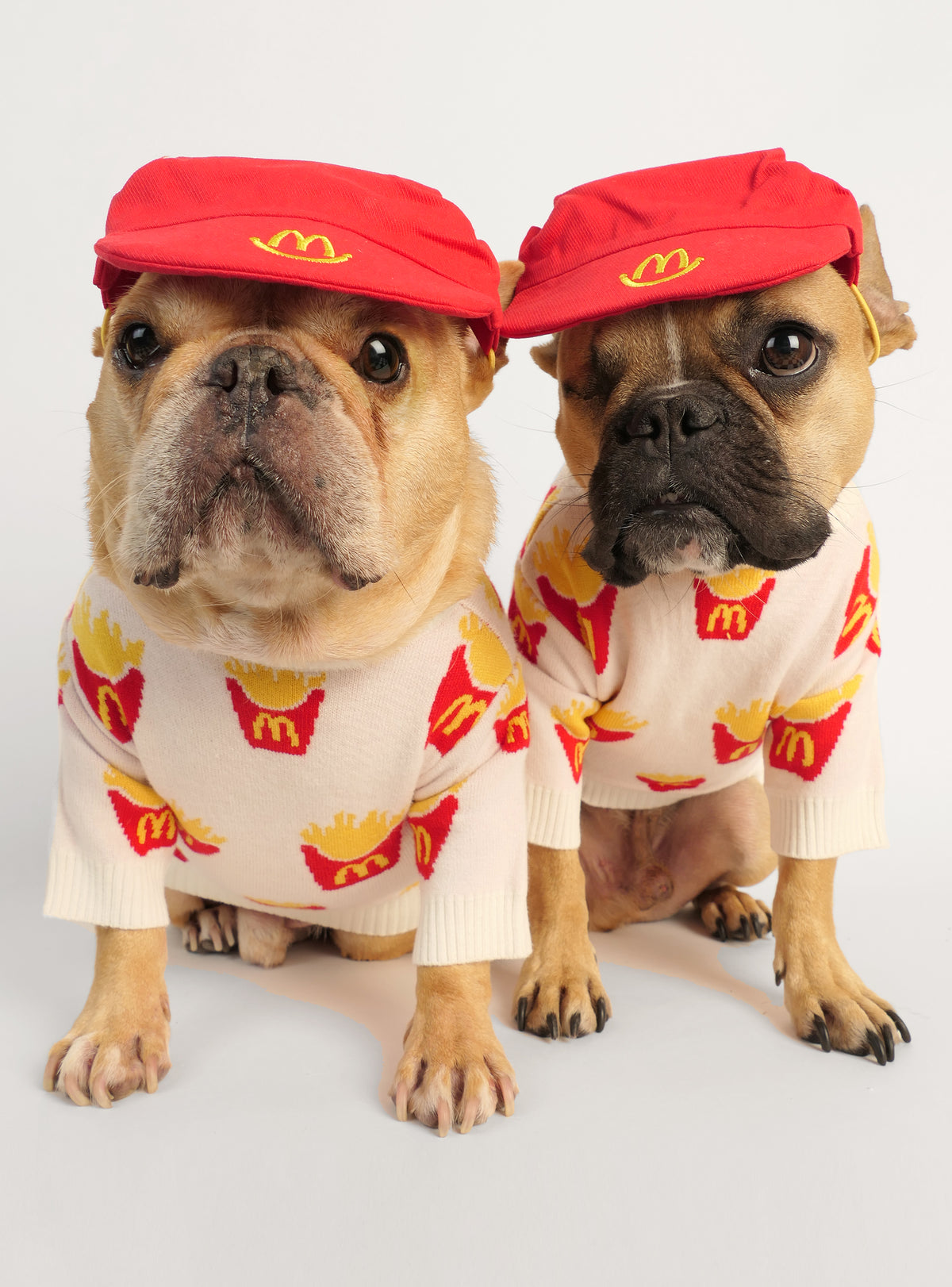 French Fried Dog Sweater