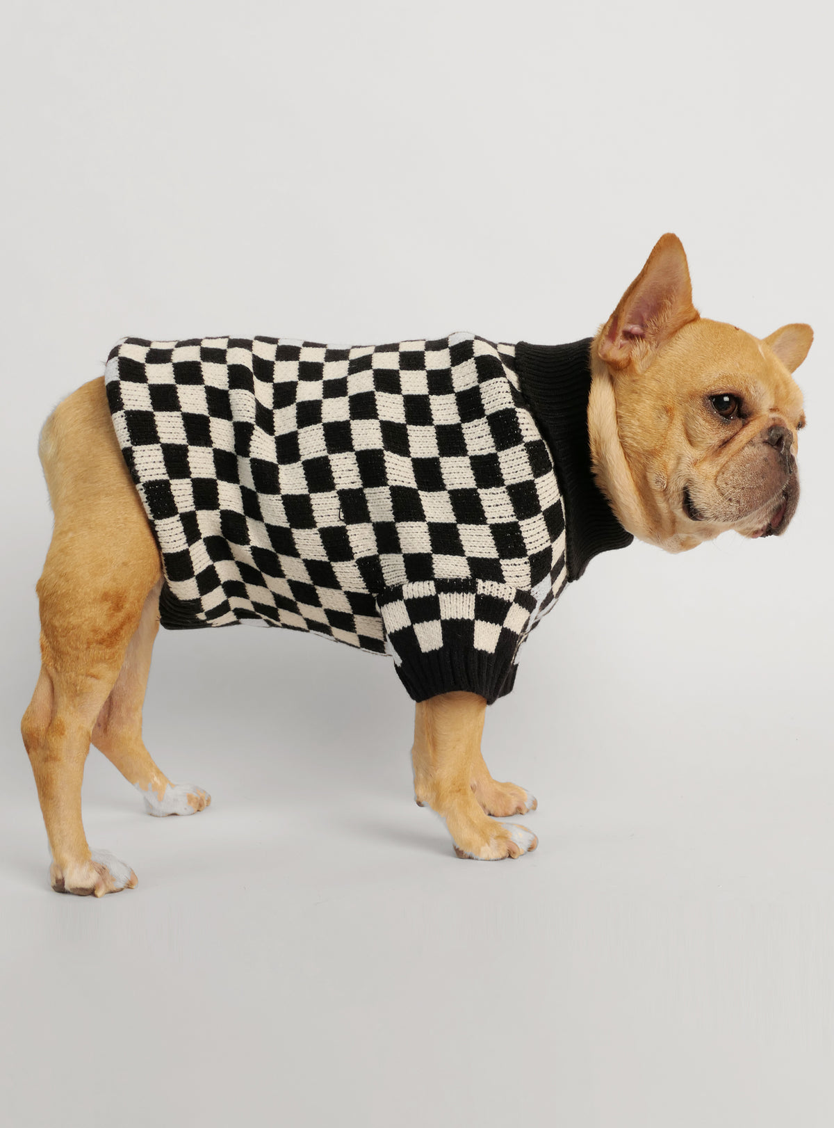 The Checkerboard Dog Sweater