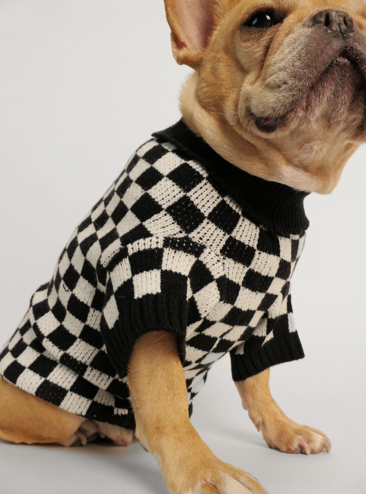 The Checkerboard Dog Sweater