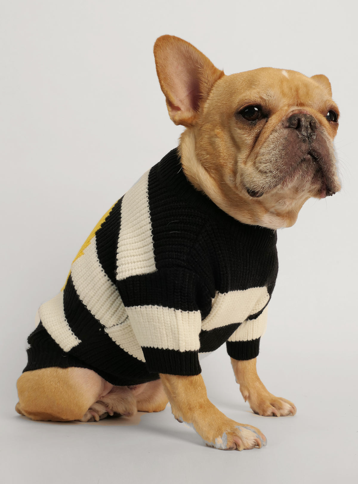 The 90&#39;s Kid Dog Sweater
