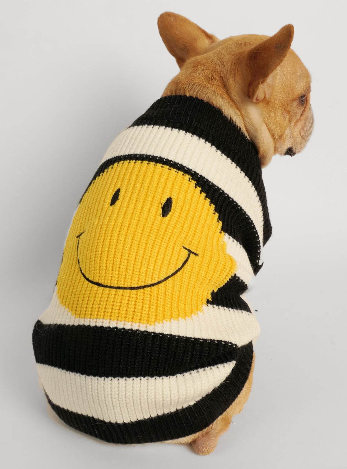 The 90&#39;s Kid Dog Sweater