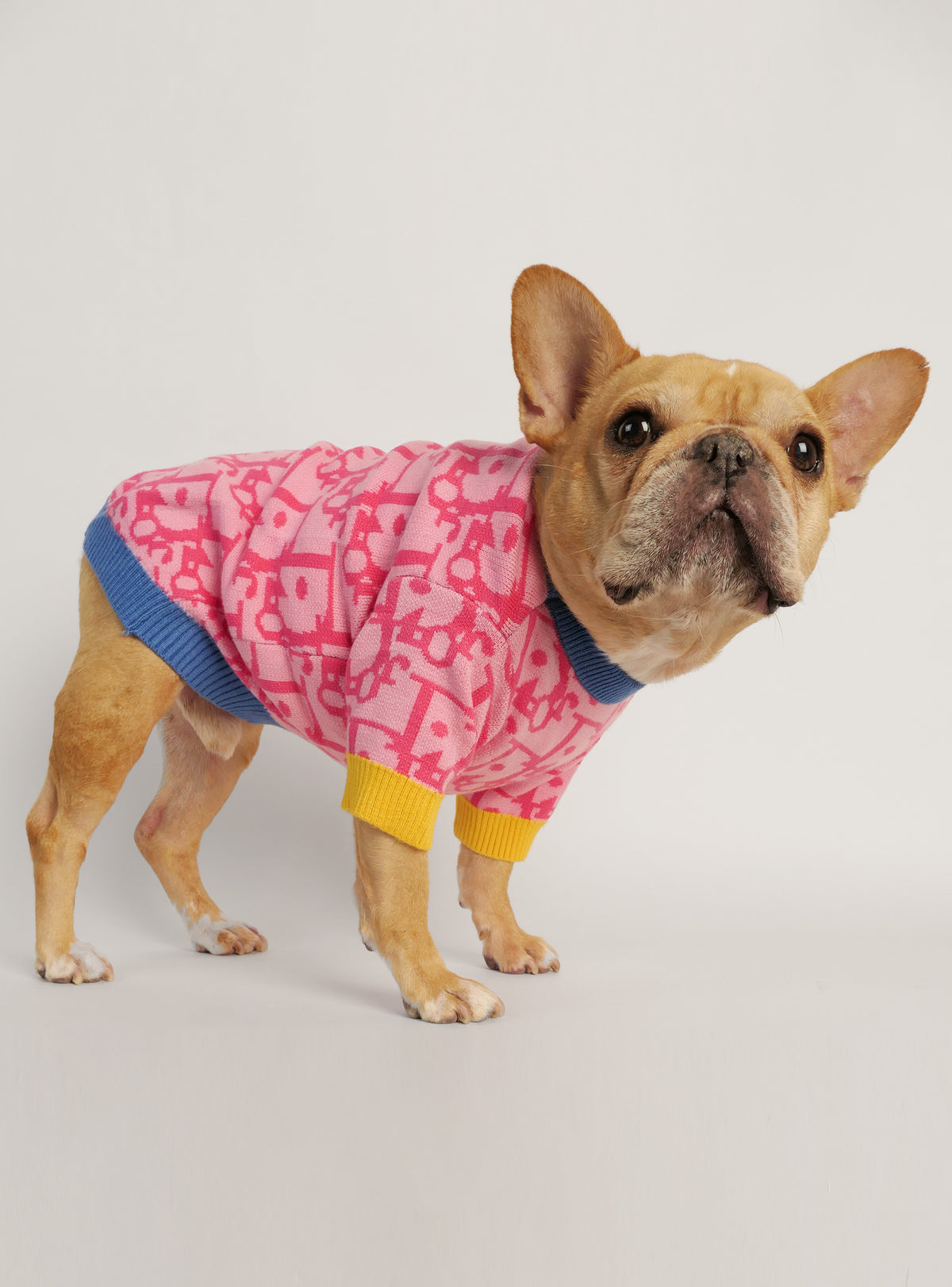 Diordinary Dog Sweater