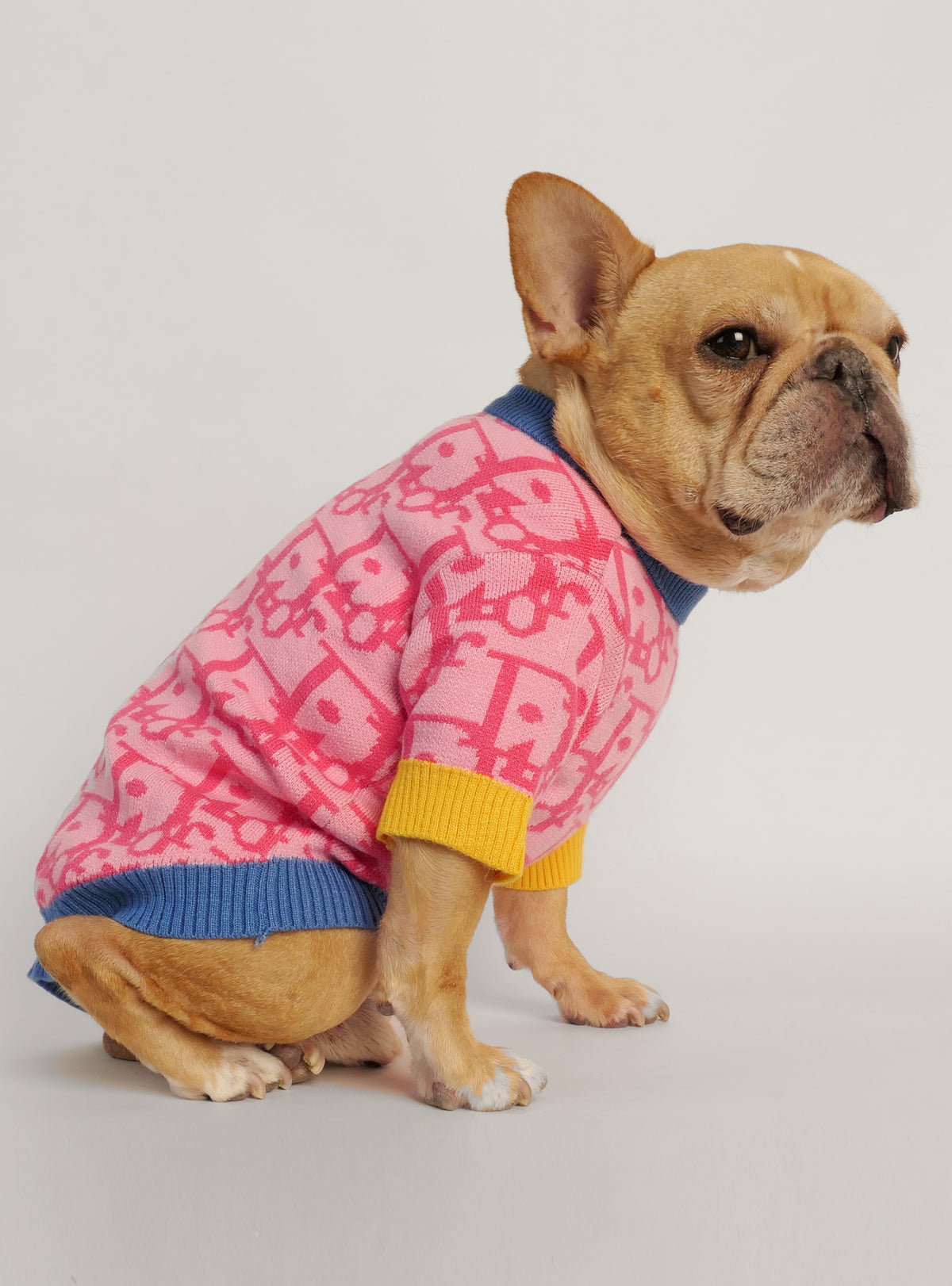 Diordinary Dog Sweater