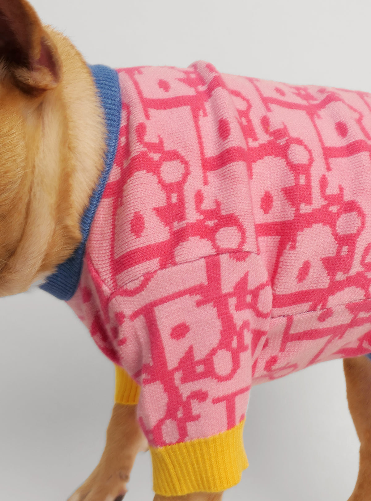 Diordinary Dog Sweater
