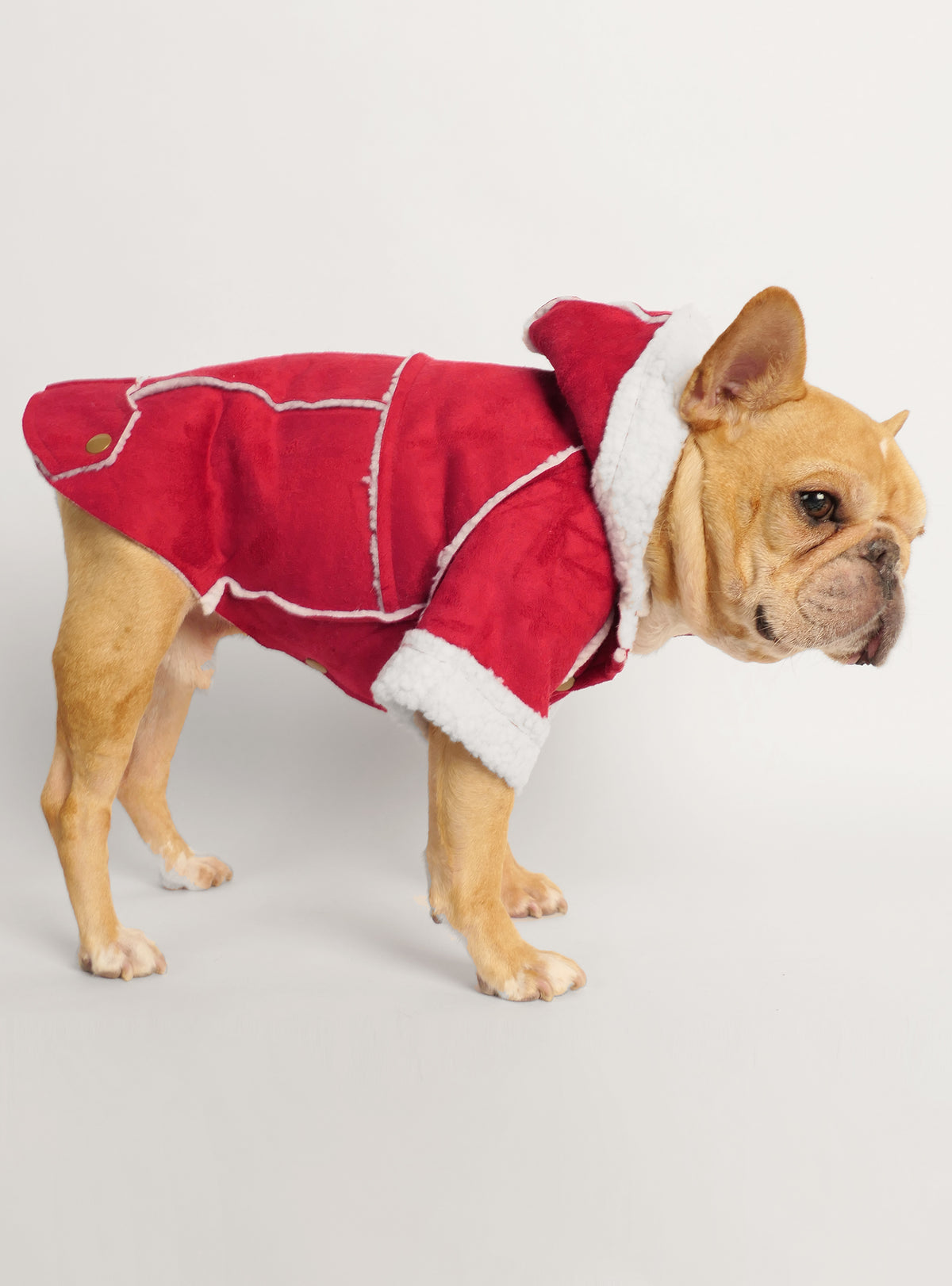 The Wessex Barn Coat Dog Hoodie