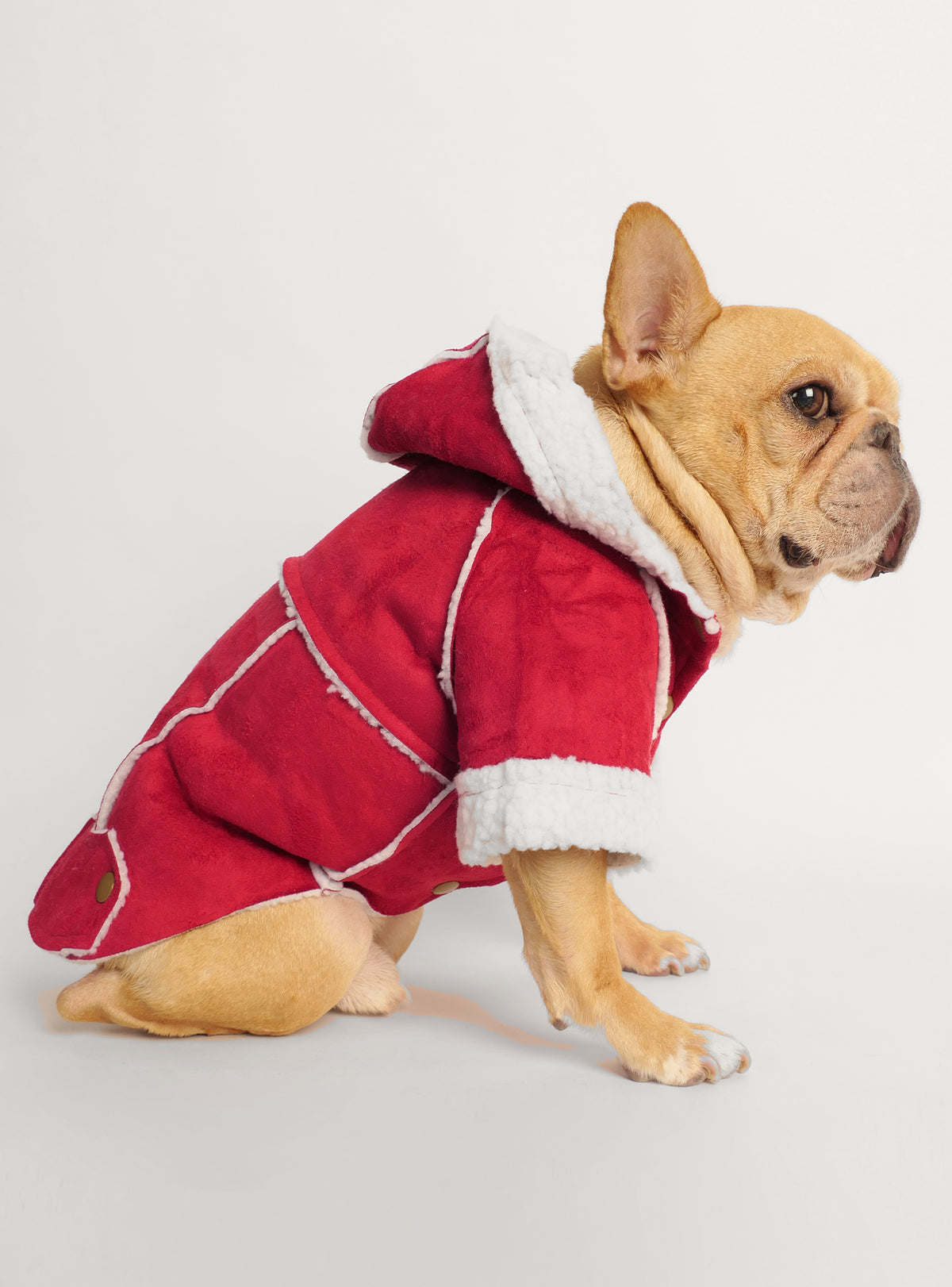 The Wessex Barn Coat Dog Hoodie