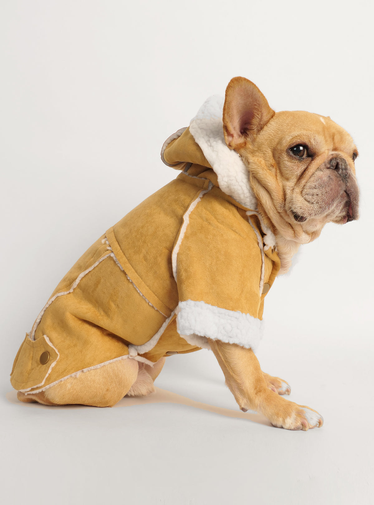 The Dorset Barn Coat Dog Hoodie