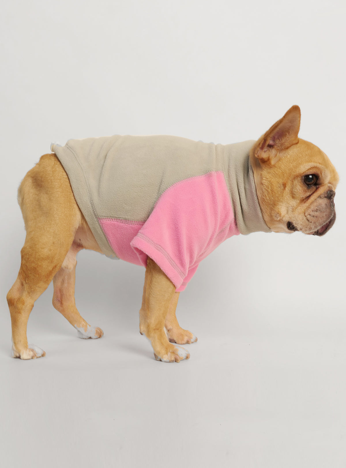 Lake Tahoe Dog Sweater