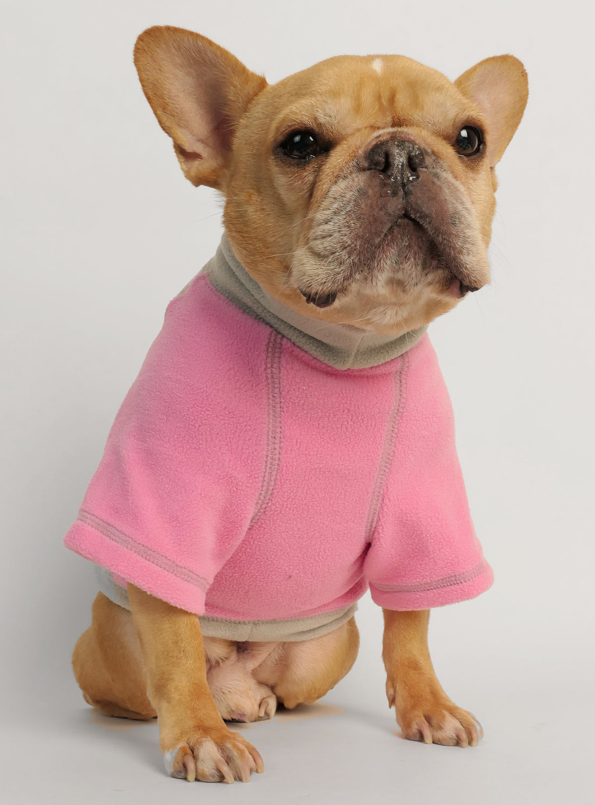 Lake Tahoe Dog Sweater
