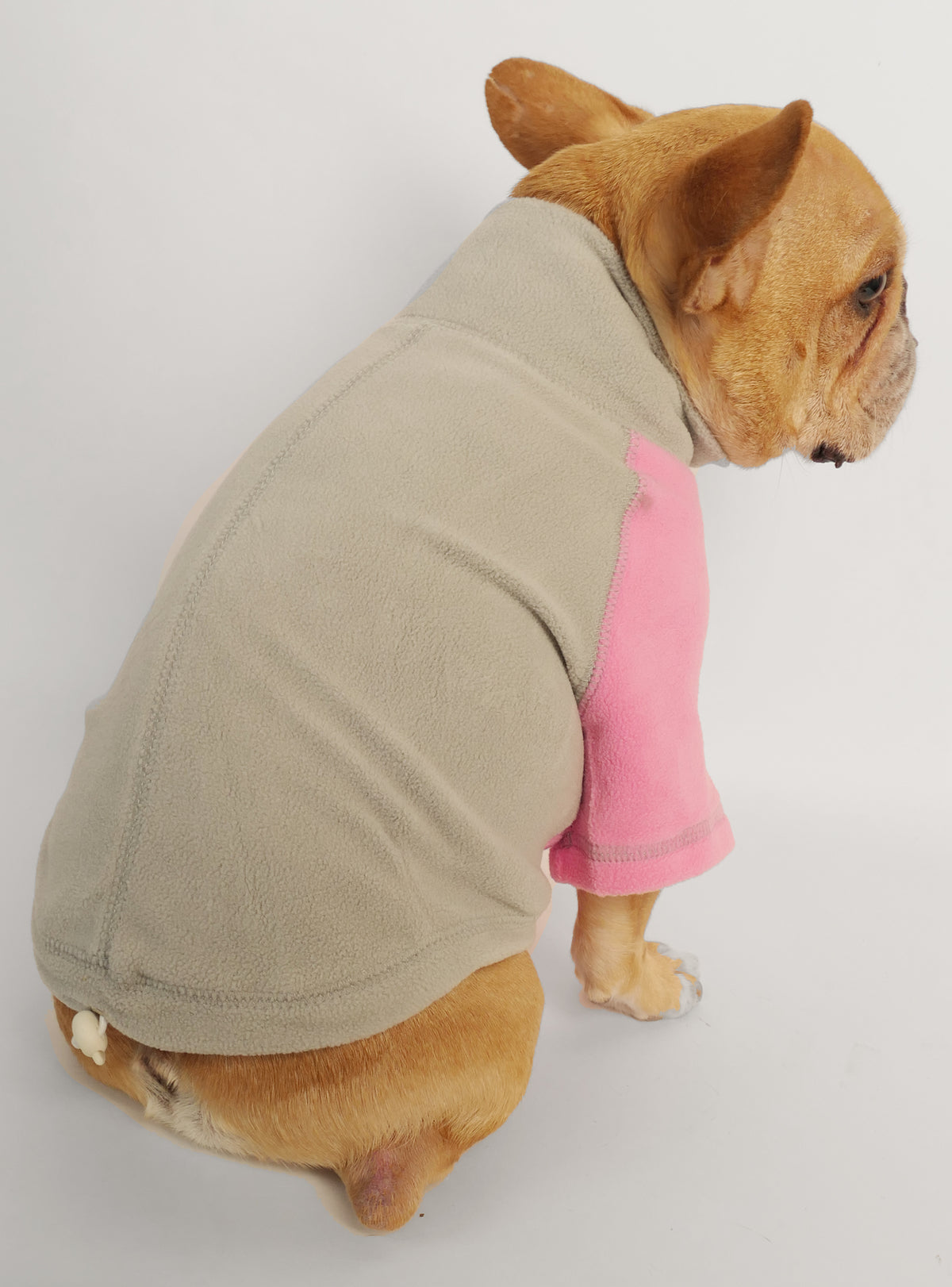 Lake Tahoe Dog Sweater