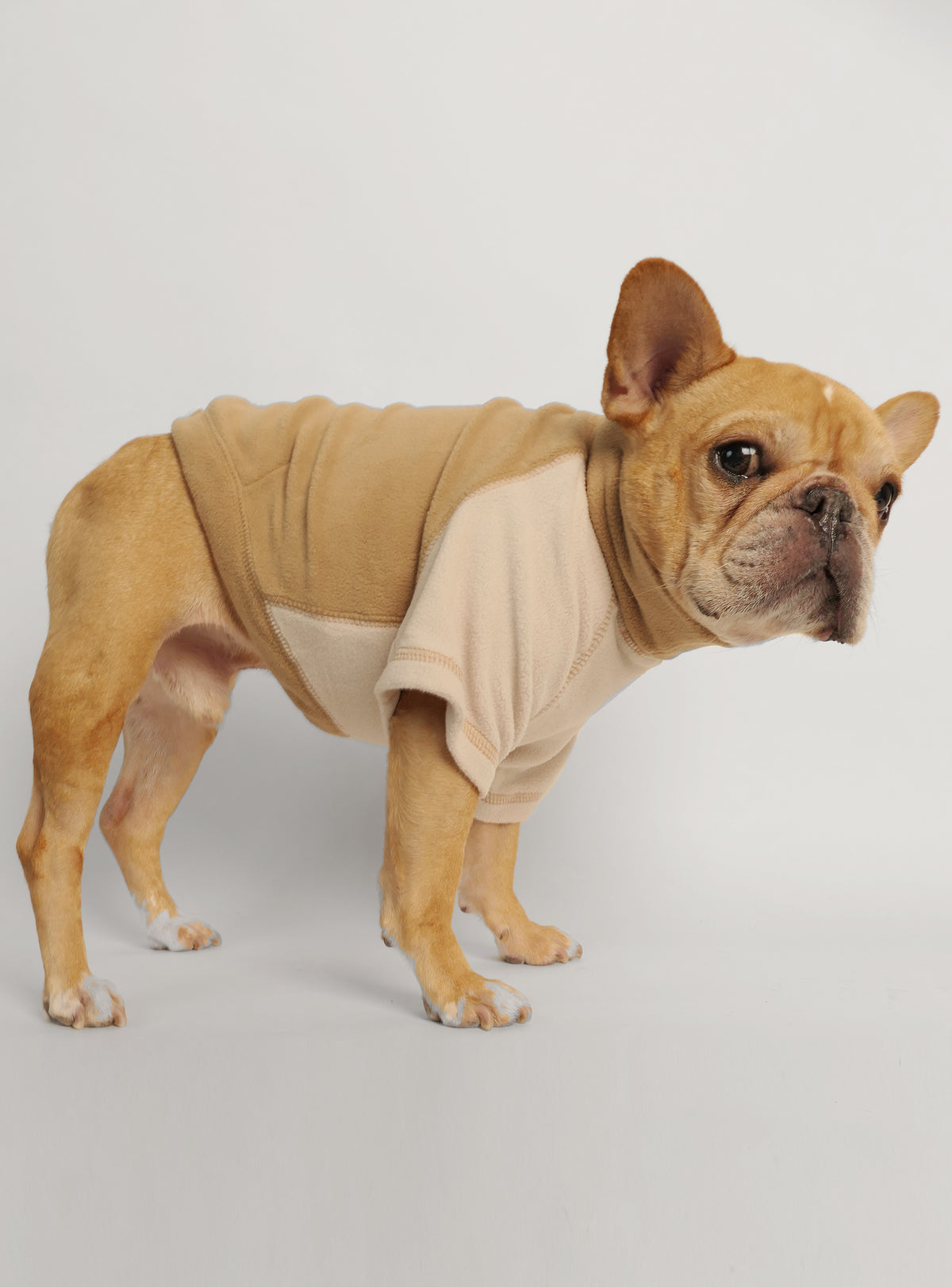 Lake Tahoe Dog Sweater