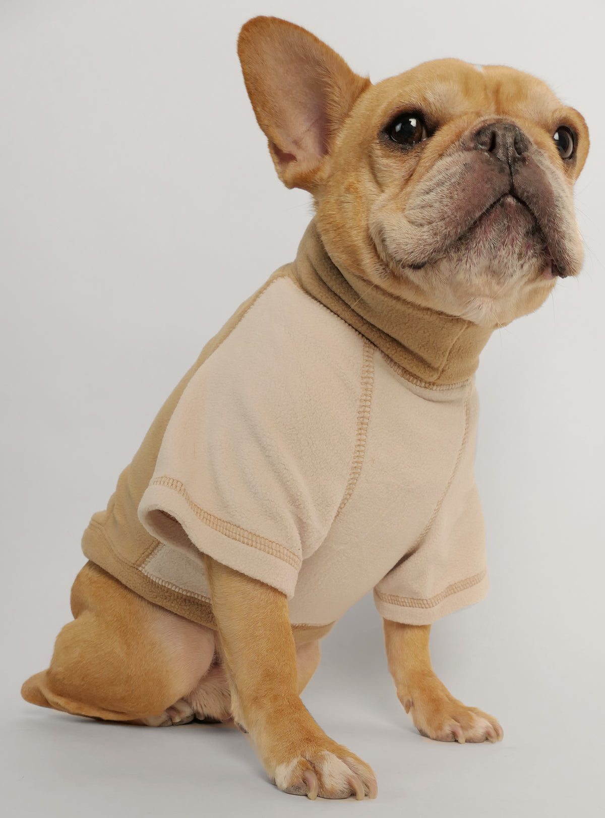 Lake Tahoe Dog Sweater