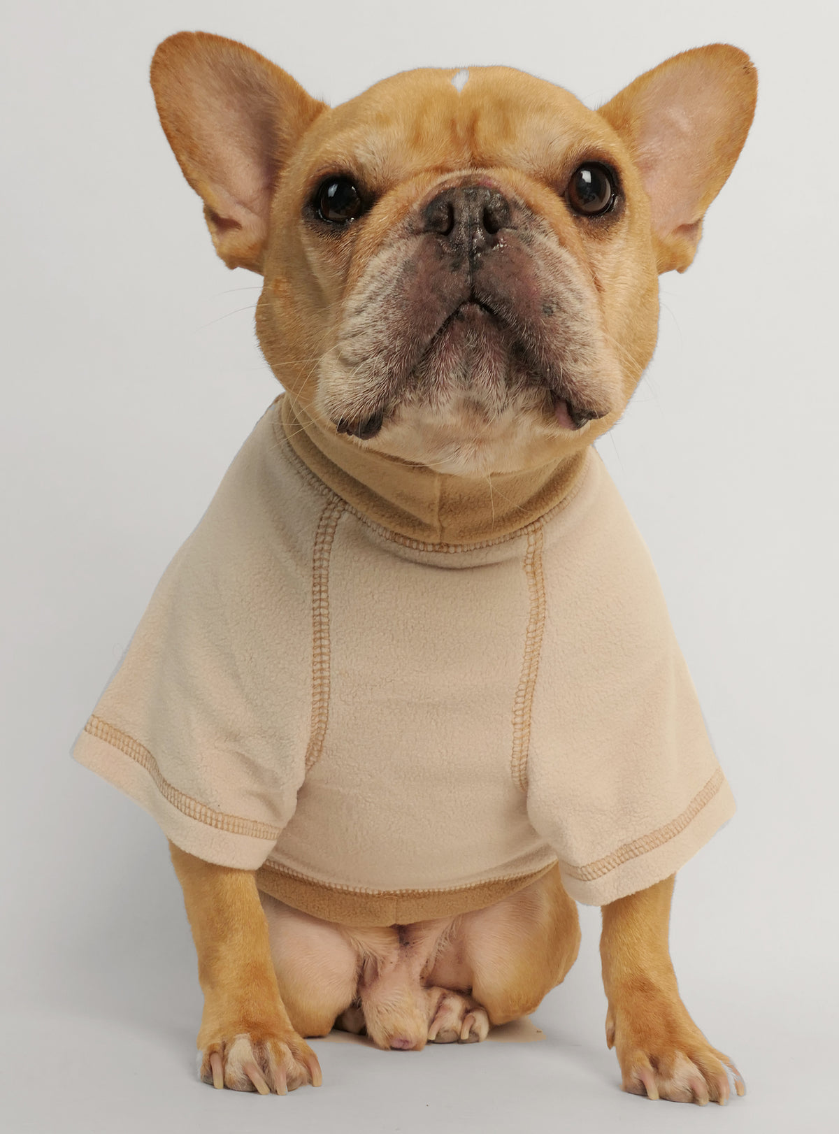 Lake Tahoe Dog Sweater