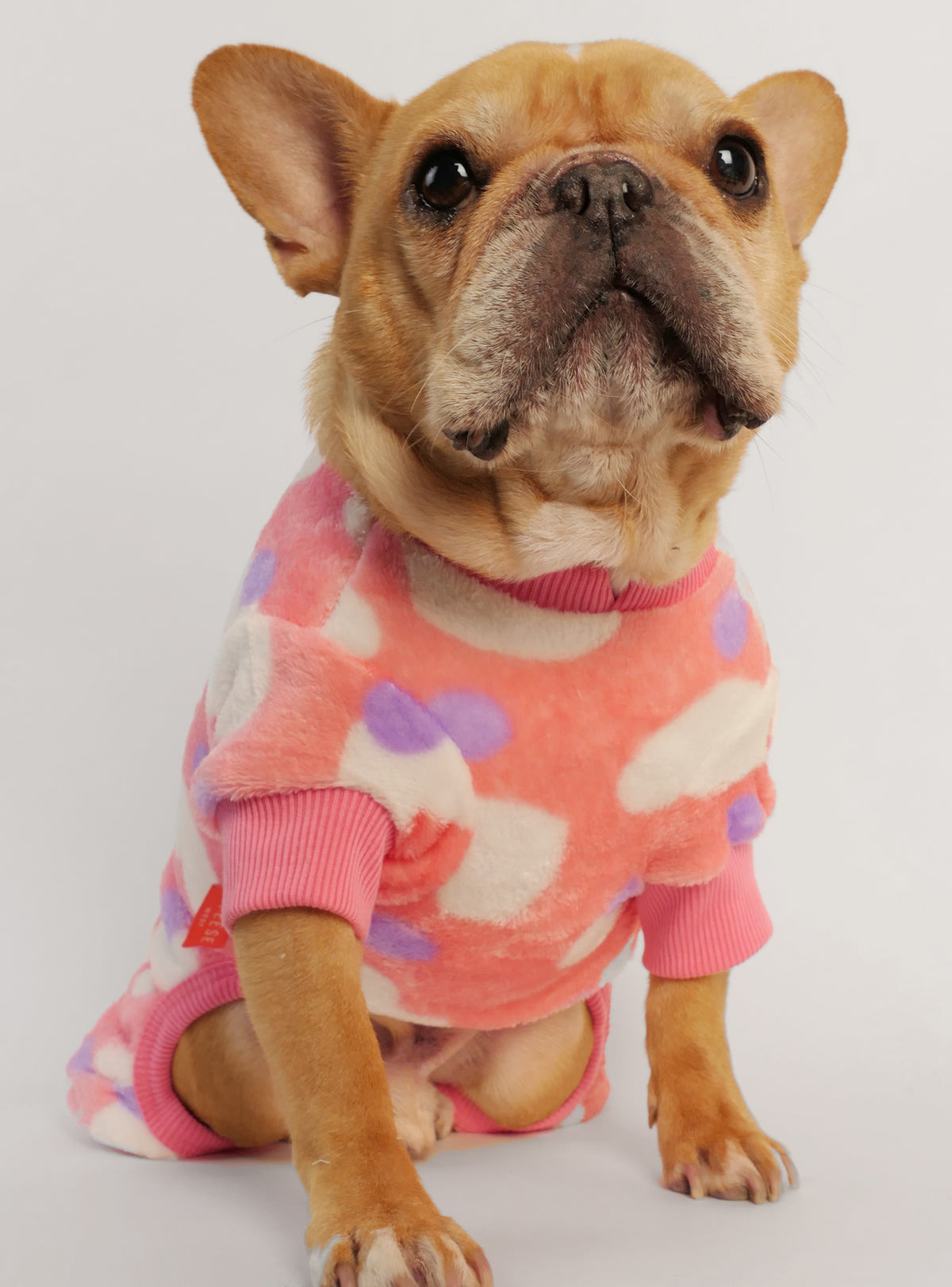 Punch Drunk Love Dog Pajamas