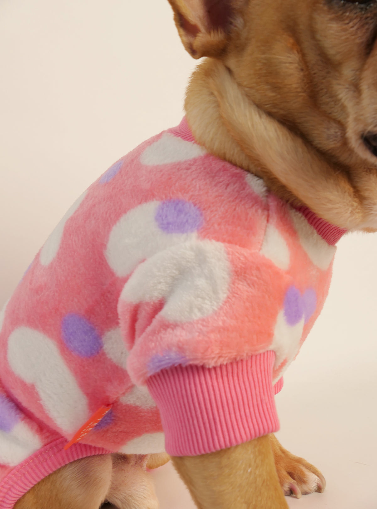 Punch Drunk Love Dog Pajamas