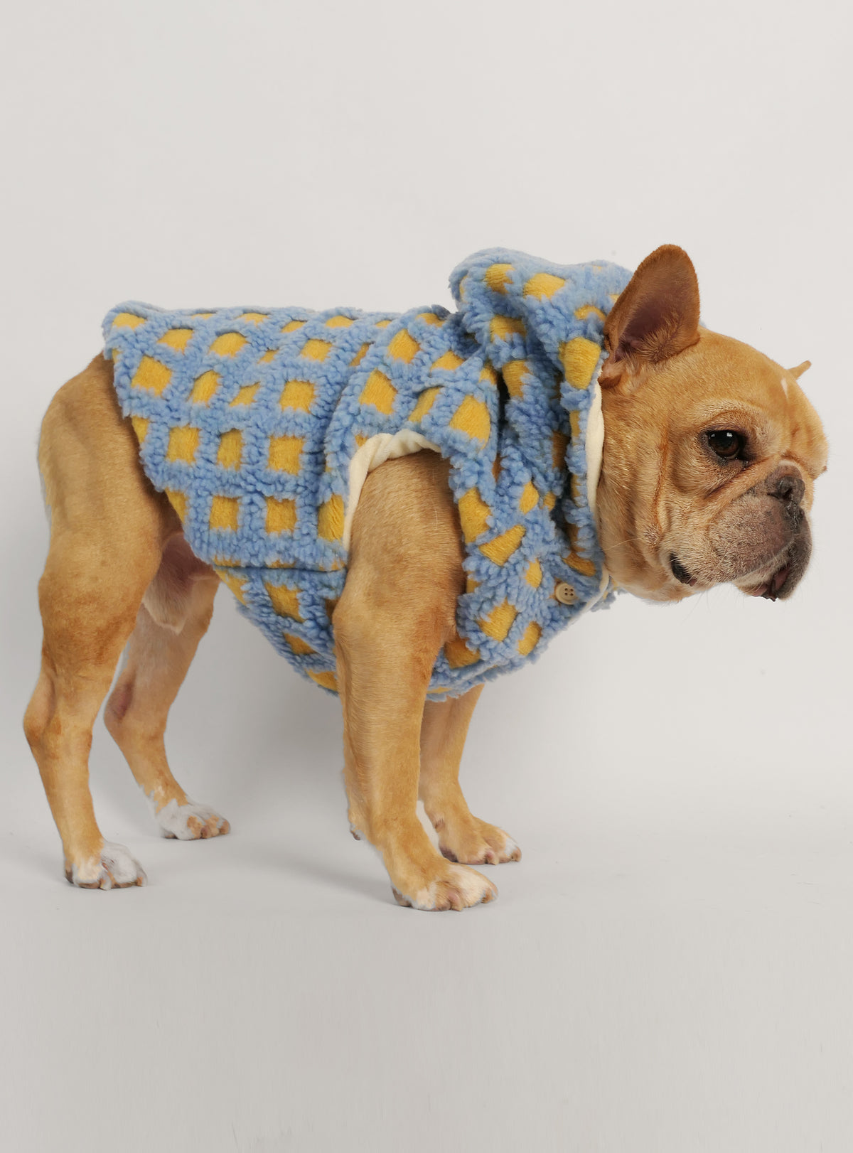 Mugatu Dog Hoodie
