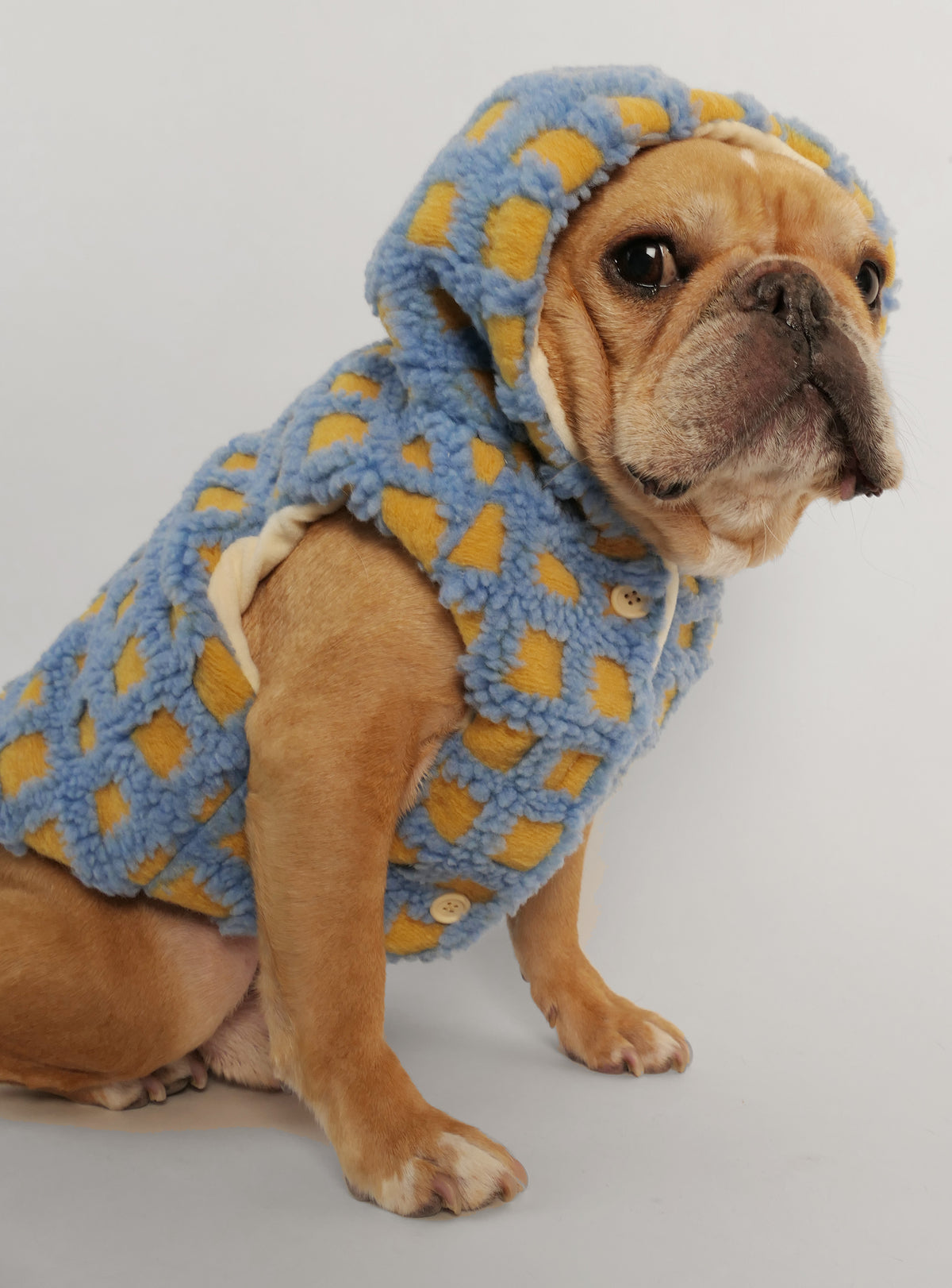 Mugatu Dog Hoodie
