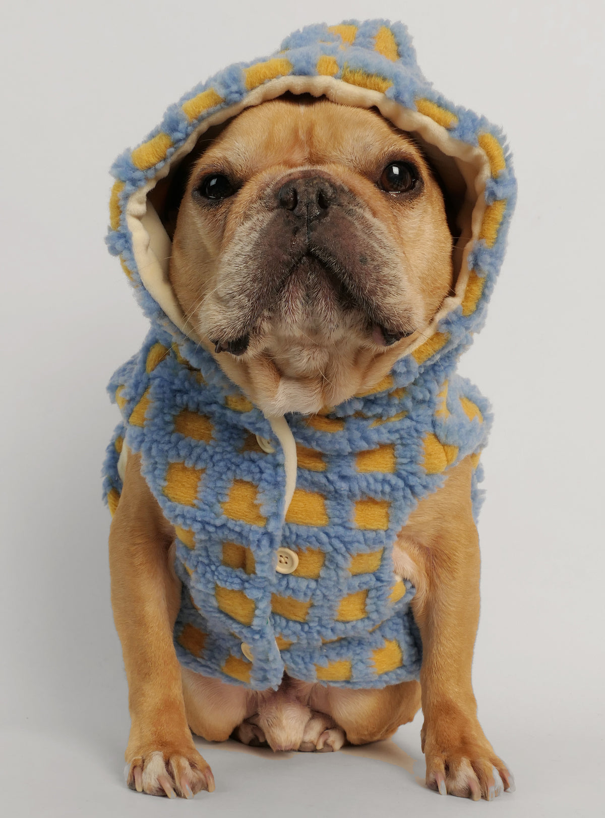 Mugatu Dog Hoodie