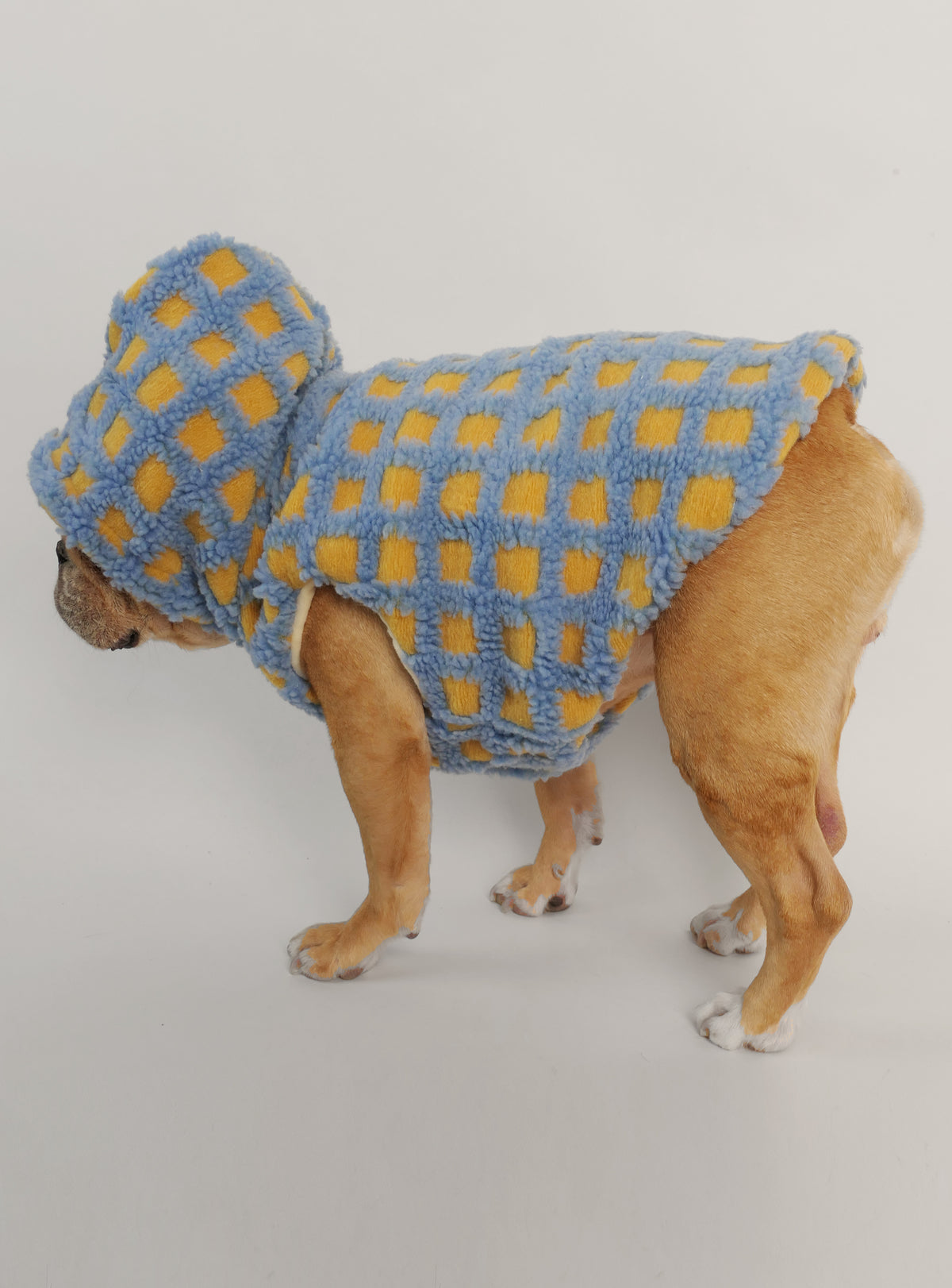 Mugatu Dog Hoodie