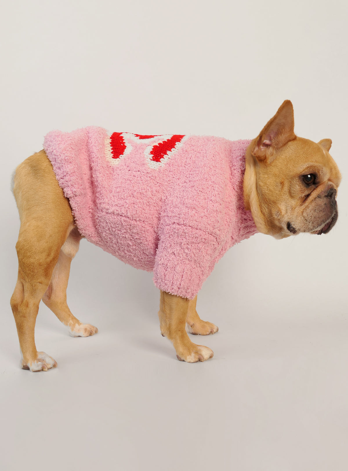 Coco Dog Sweater