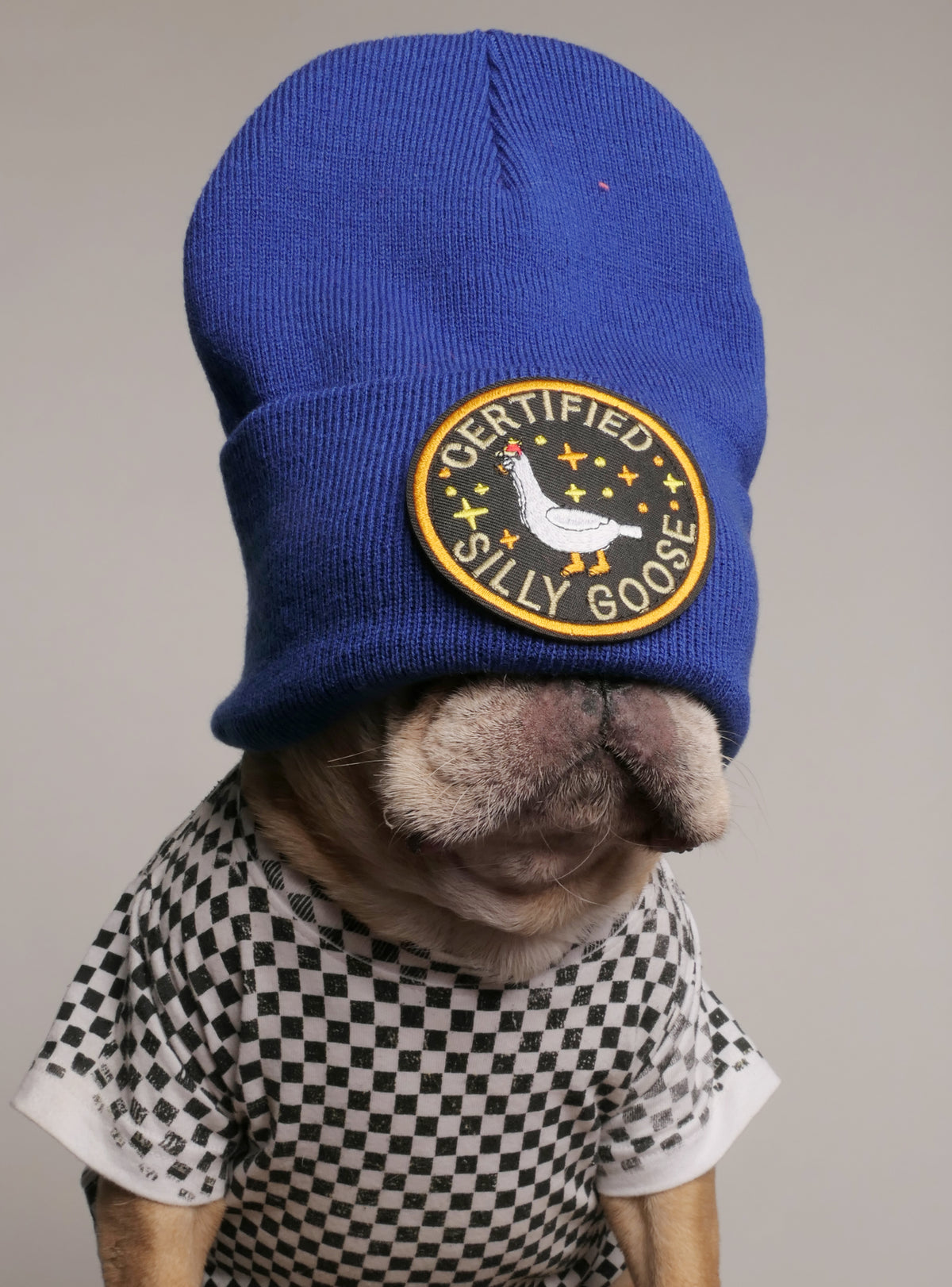 Certified Silly Goose Beanie