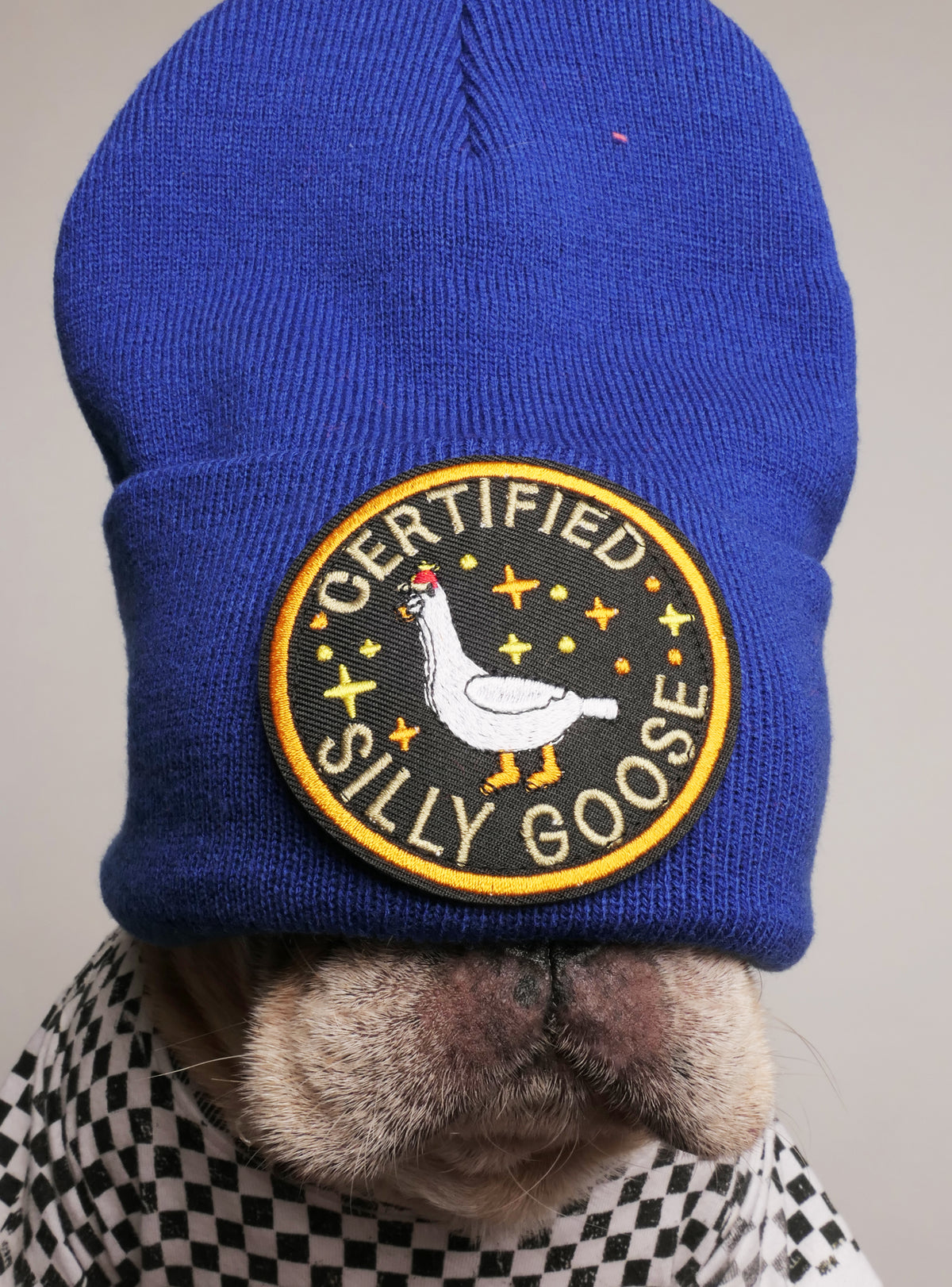 Certified Silly Goose Beanie