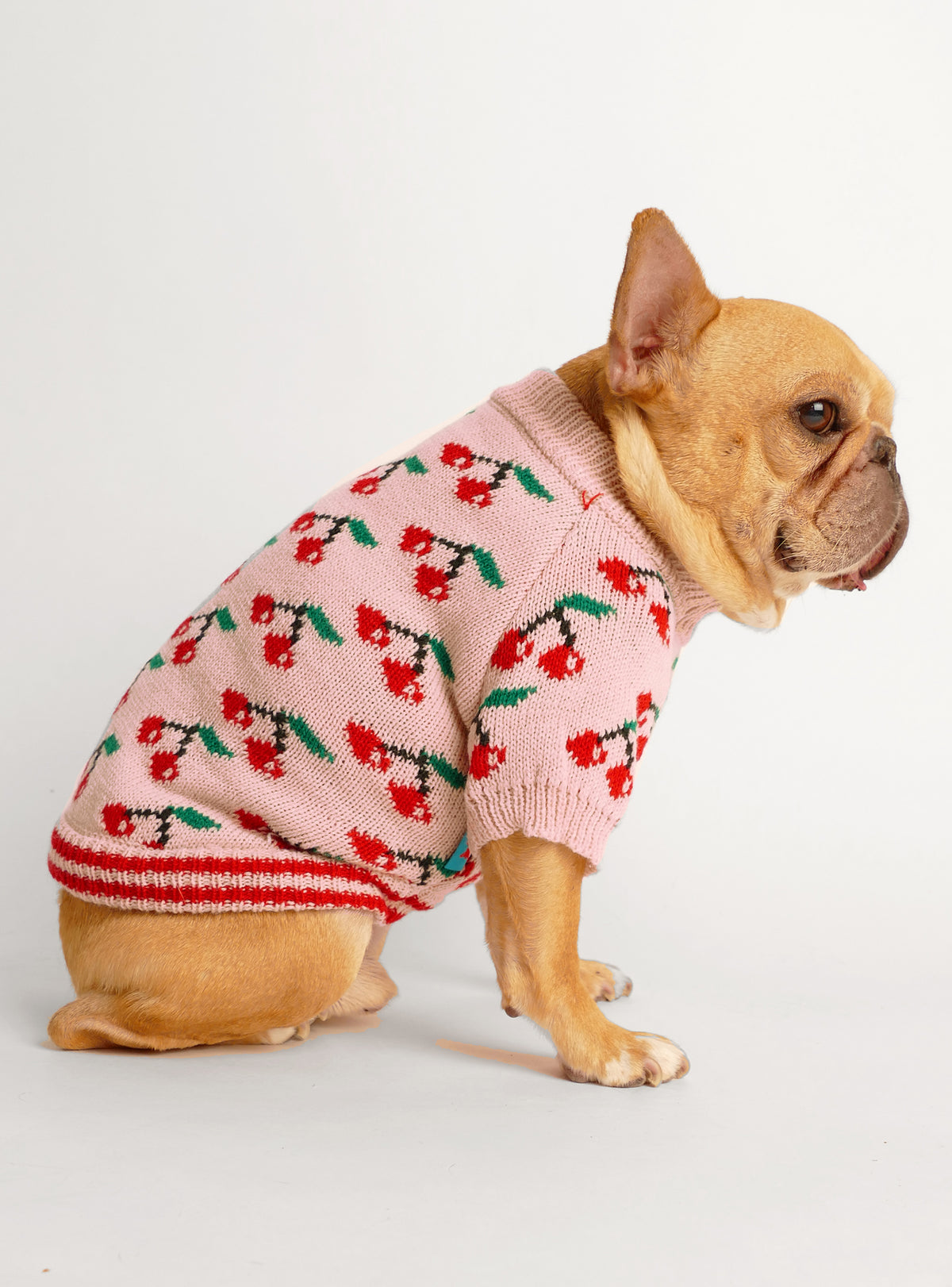 Wild Cherry Dog Sweater