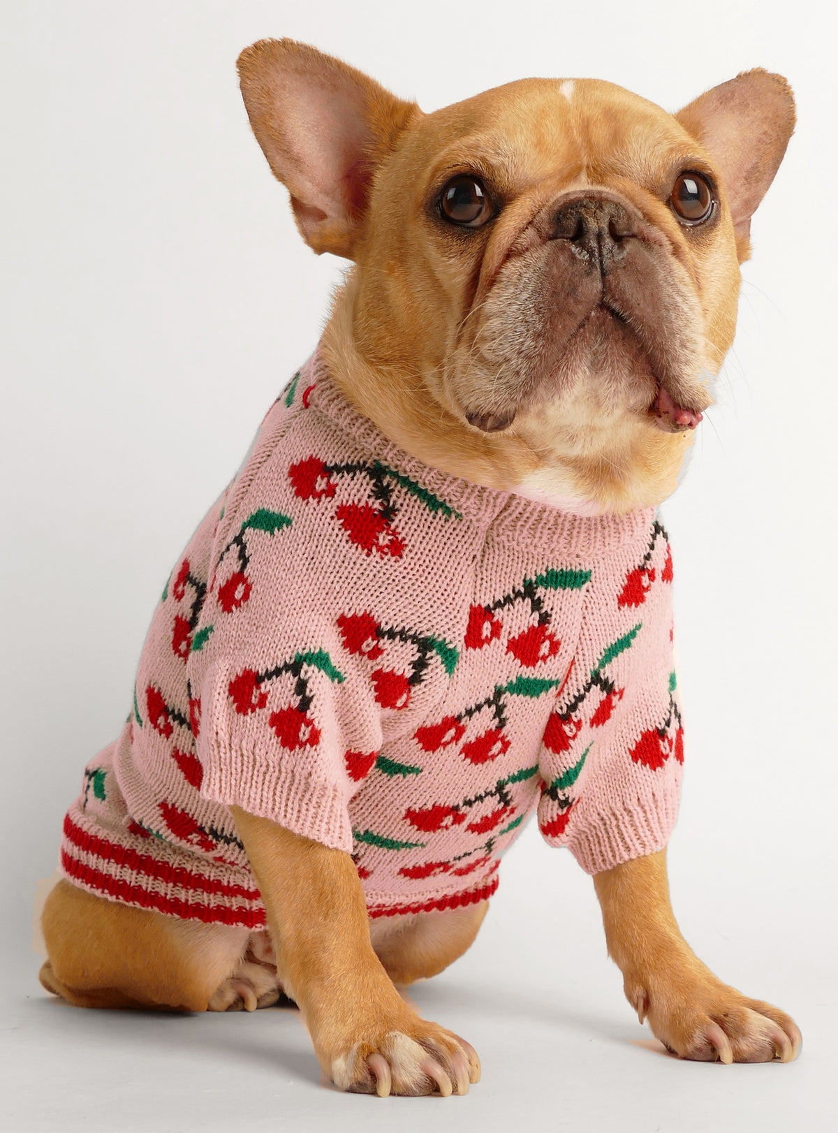 Wild Cherry Dog Sweater
