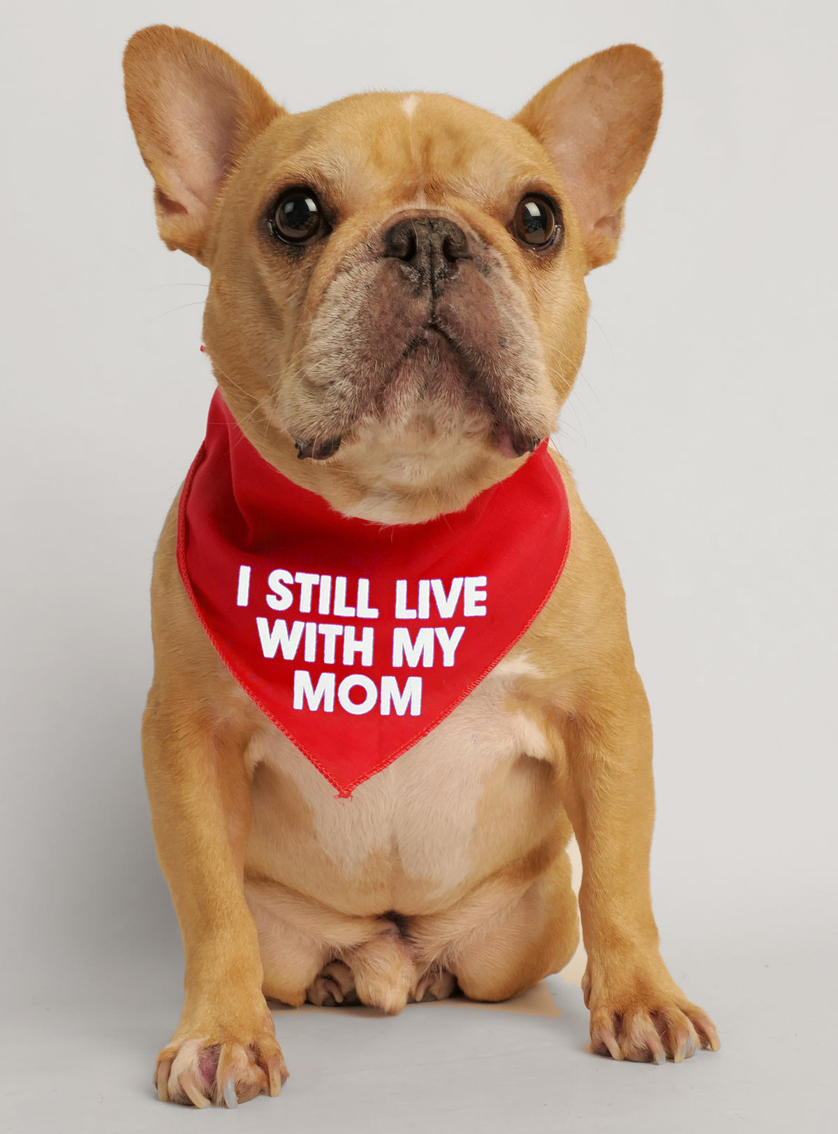 Still Live With Mom Bandana