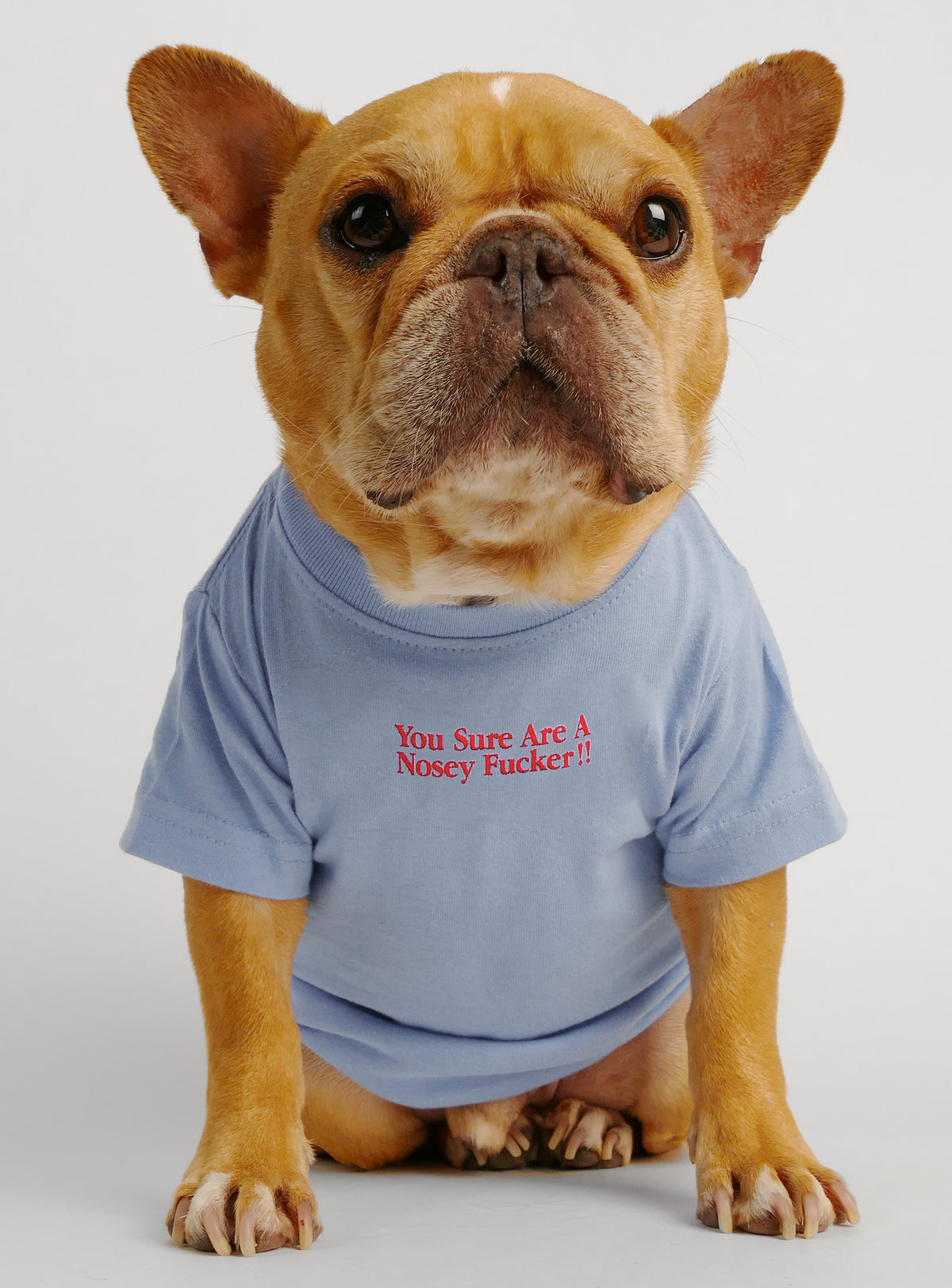You Sure Are A Nosey F*cker Dog Tee