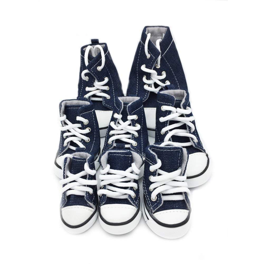 Converse Chunk Taylor Dog Shoes