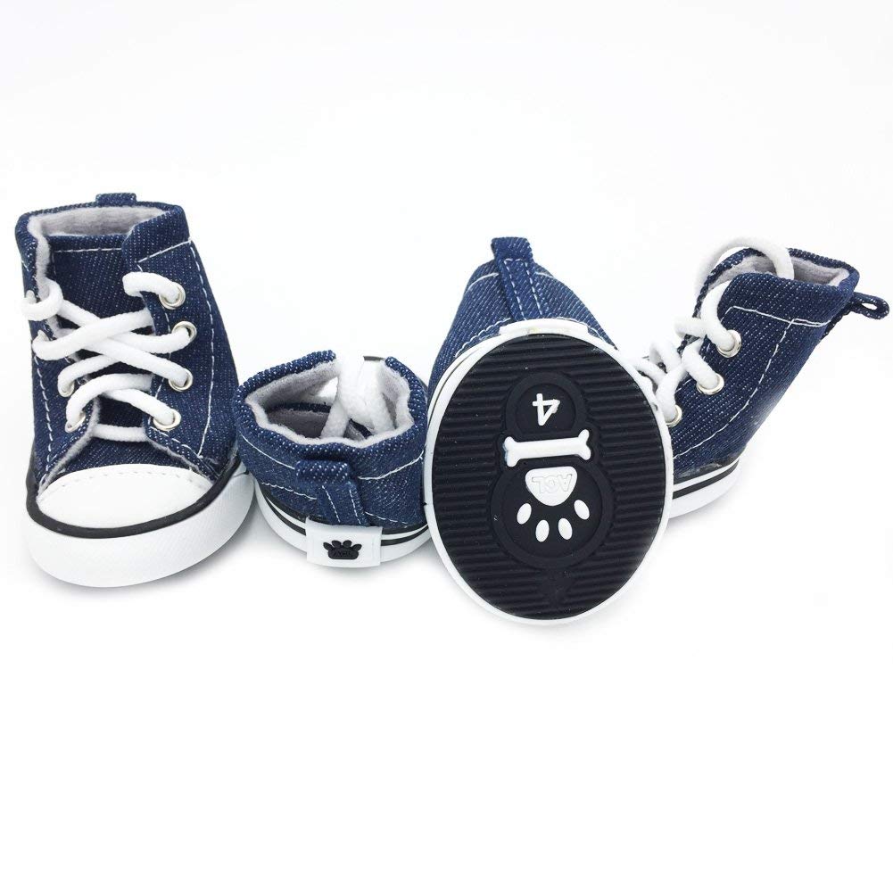 Converse Chunk Taylor Dog Shoes