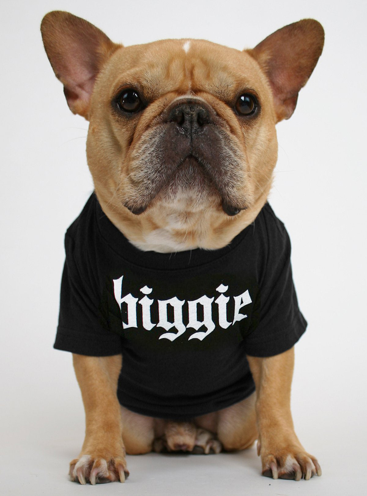 Biggie Dog Tee