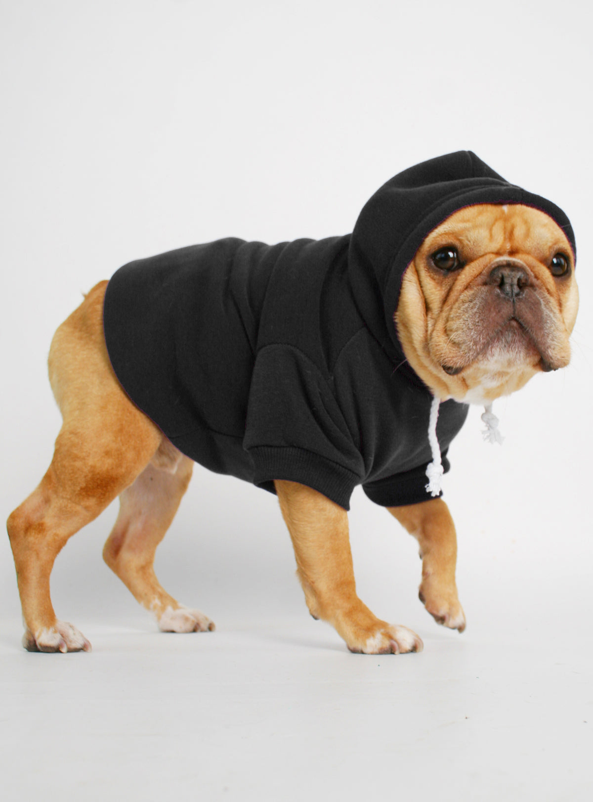 The Jasper Dog Hoodie