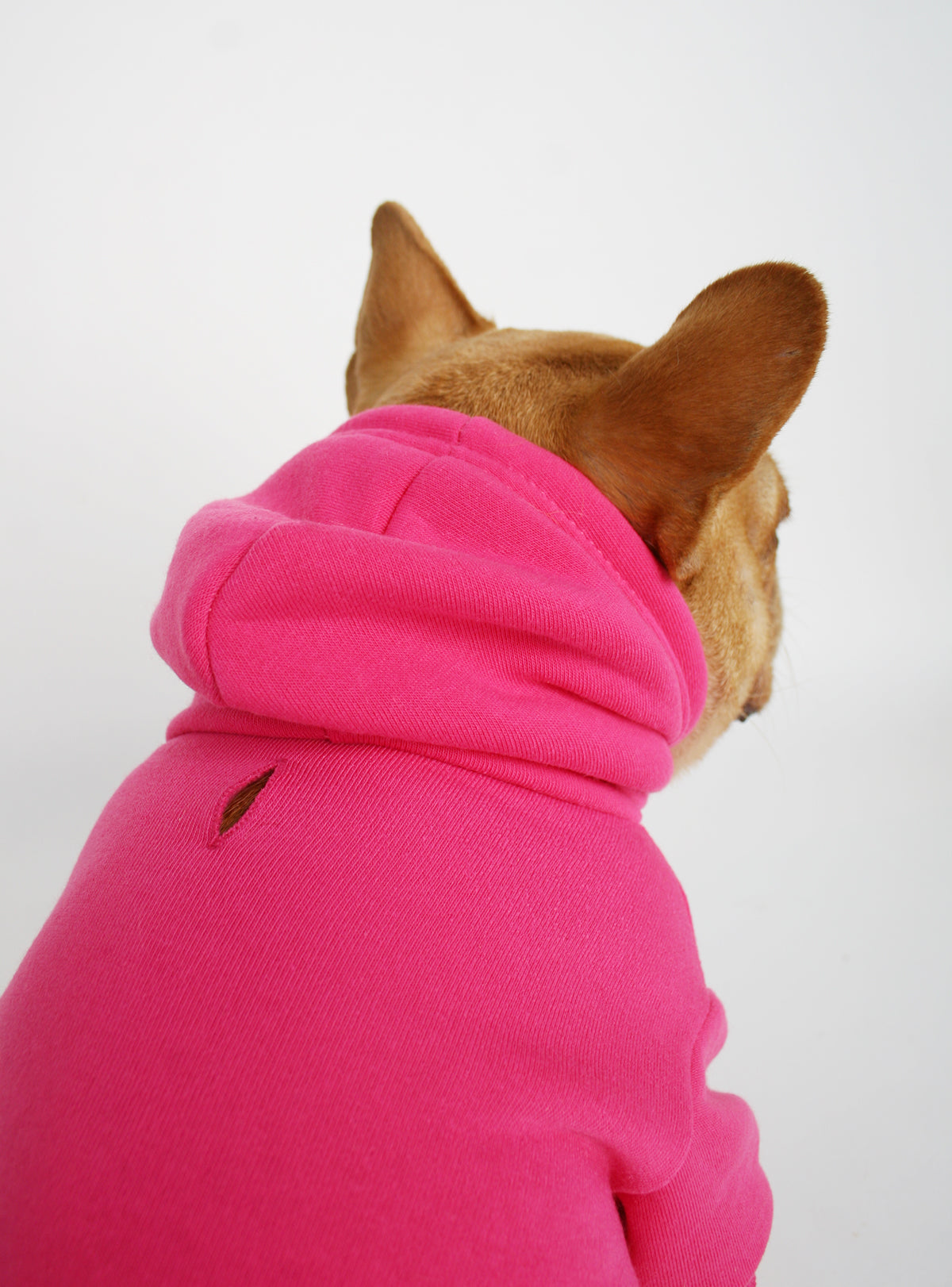 The Jasper Dog Hoodie