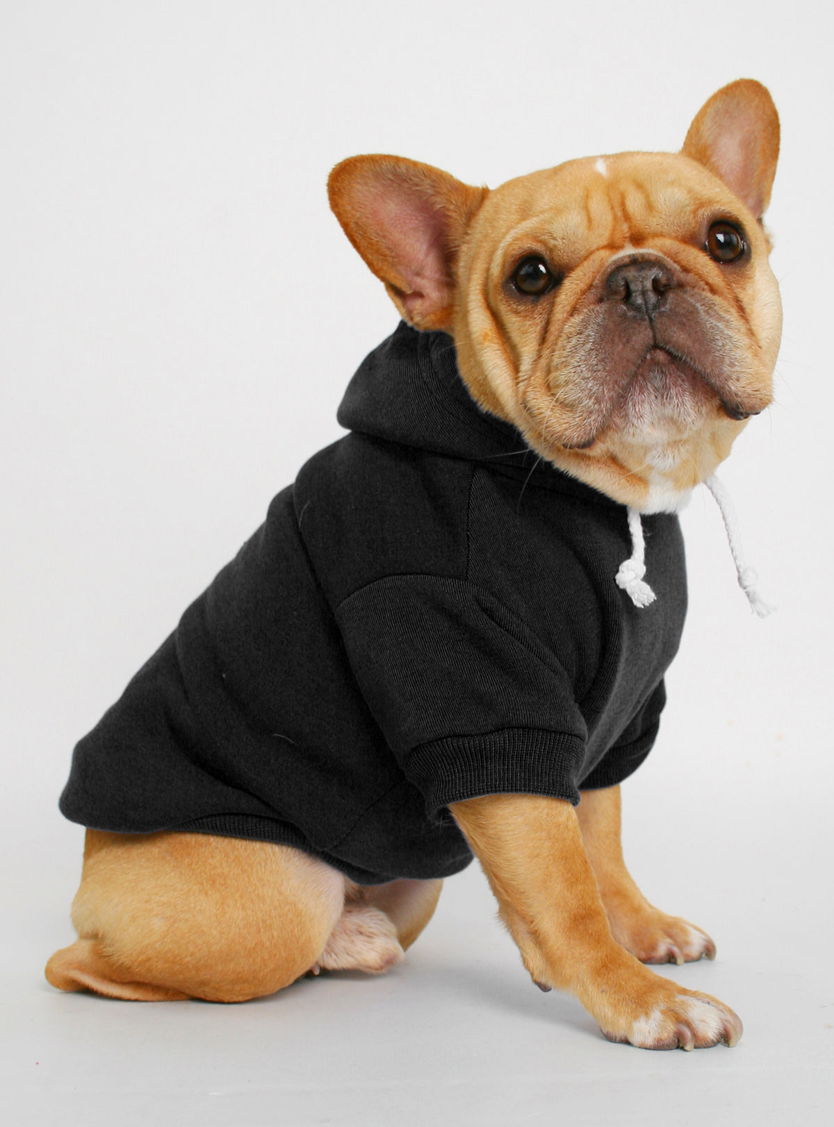 The Jasper Dog Hoodie
