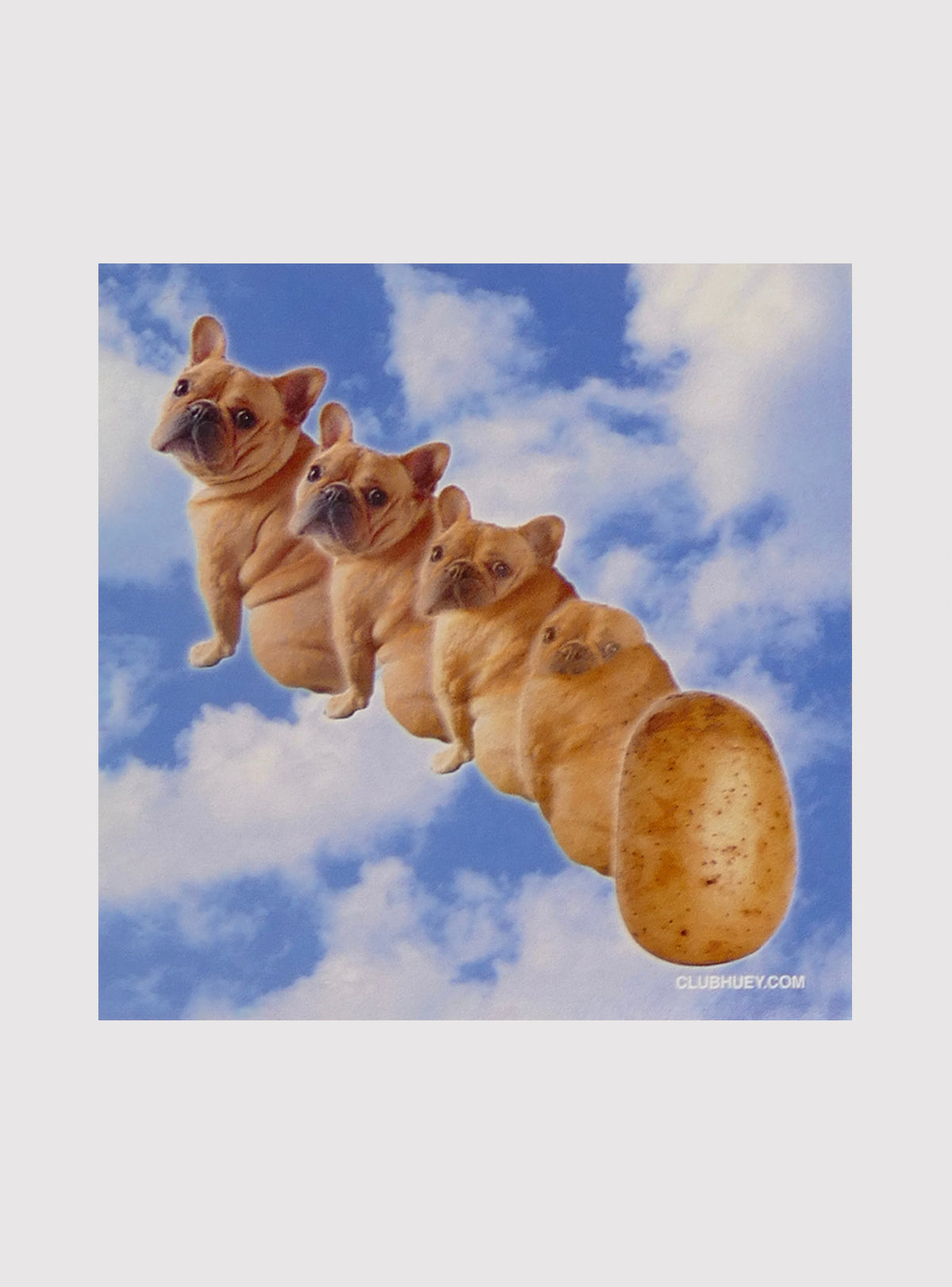 Animorphs Potato Sticker