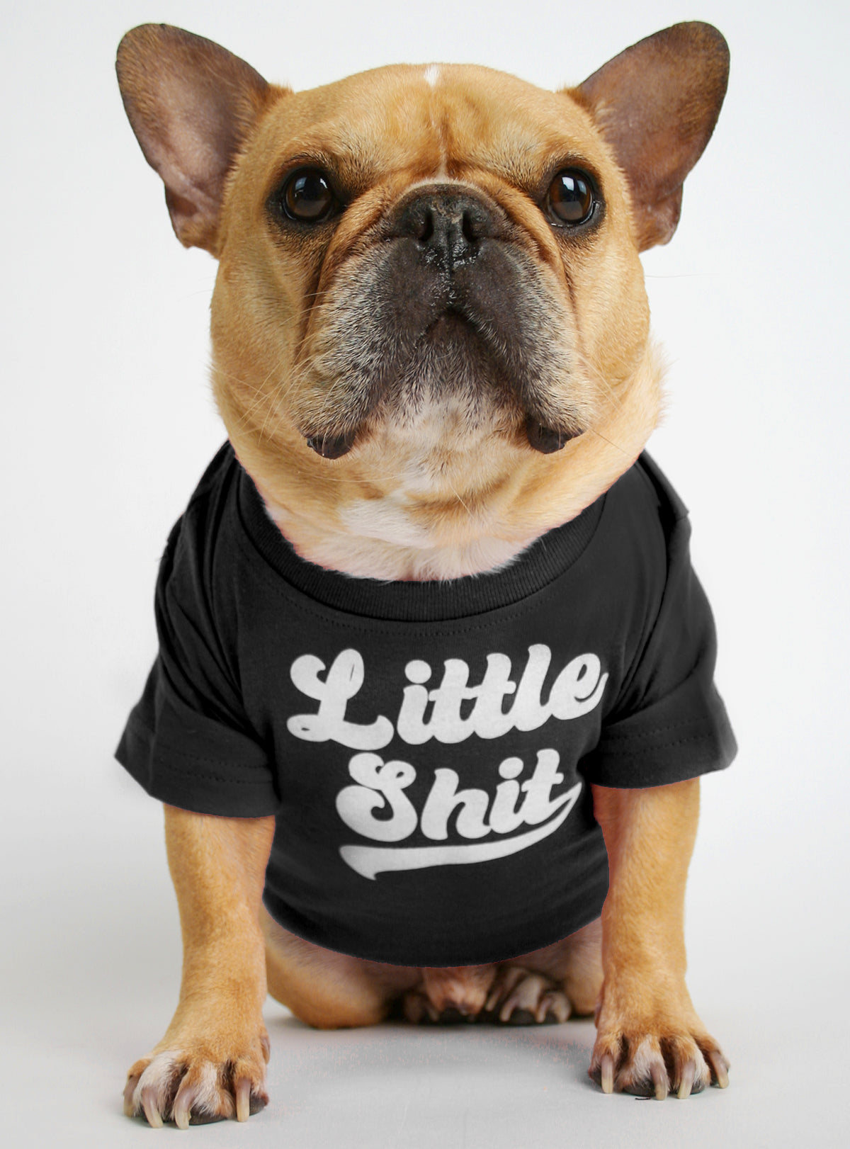 Little Shit Dog Tee